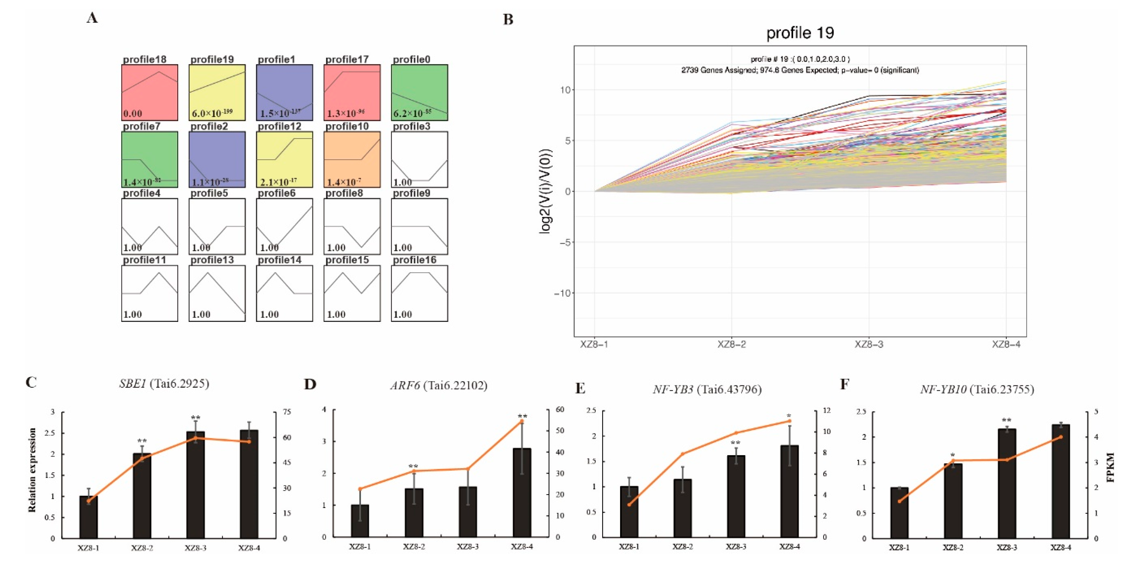Genes 13 01156 g006 550