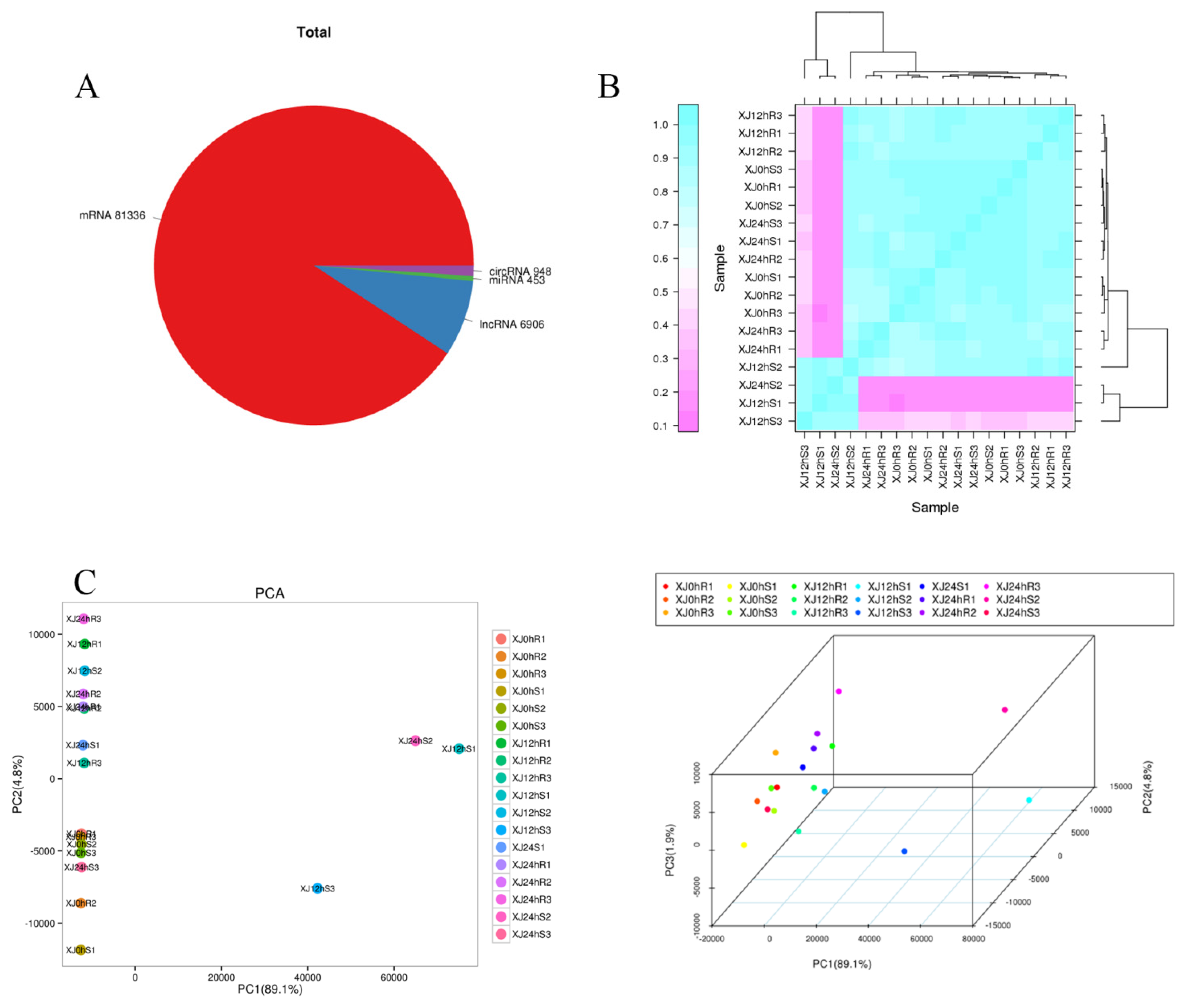 Genes 13 01159 g002 550