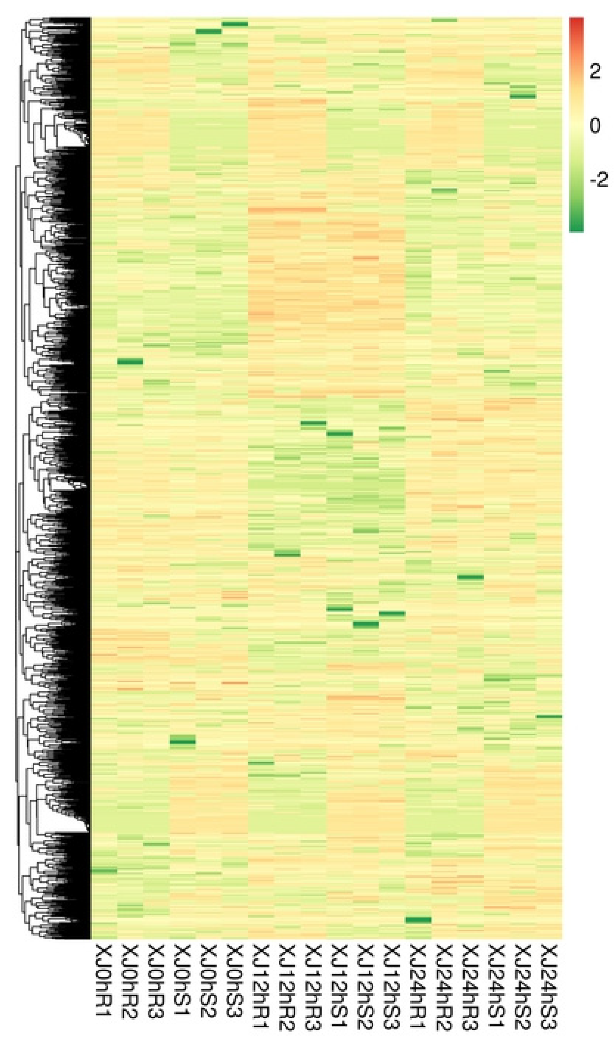 Genes 13 01159 g003 550