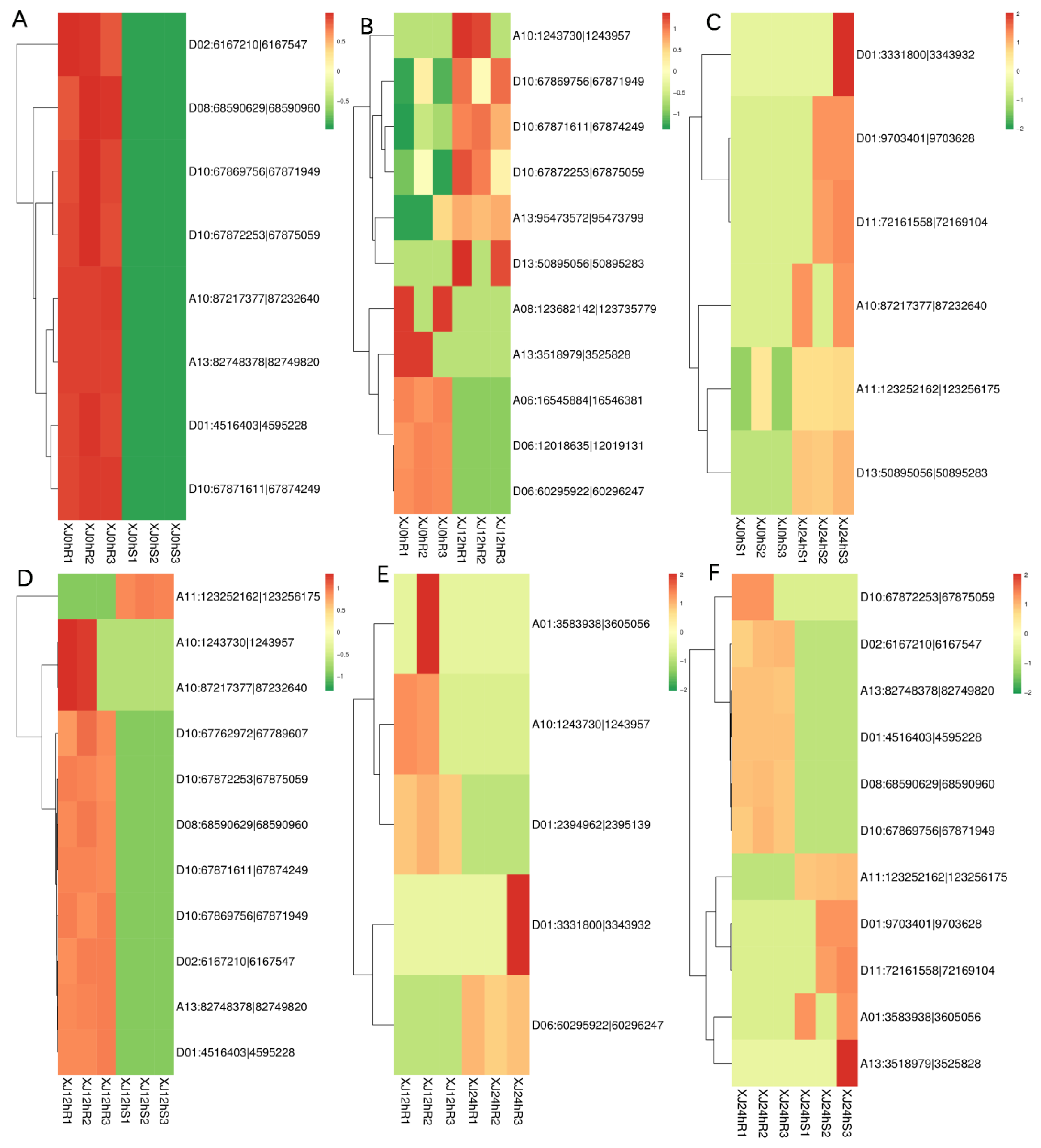 Genes 13 01159 g004 550