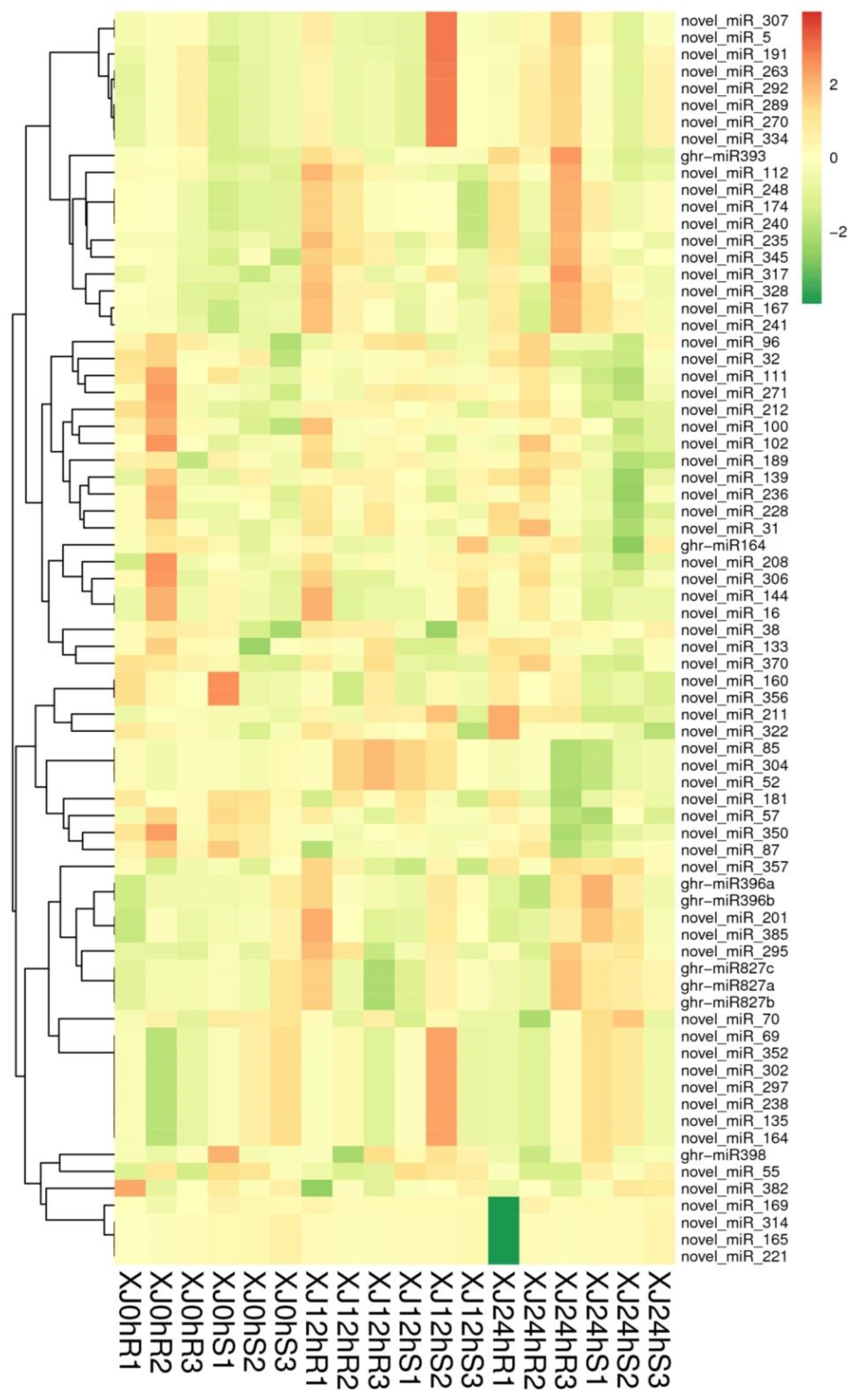Genes 13 01159 g005 550