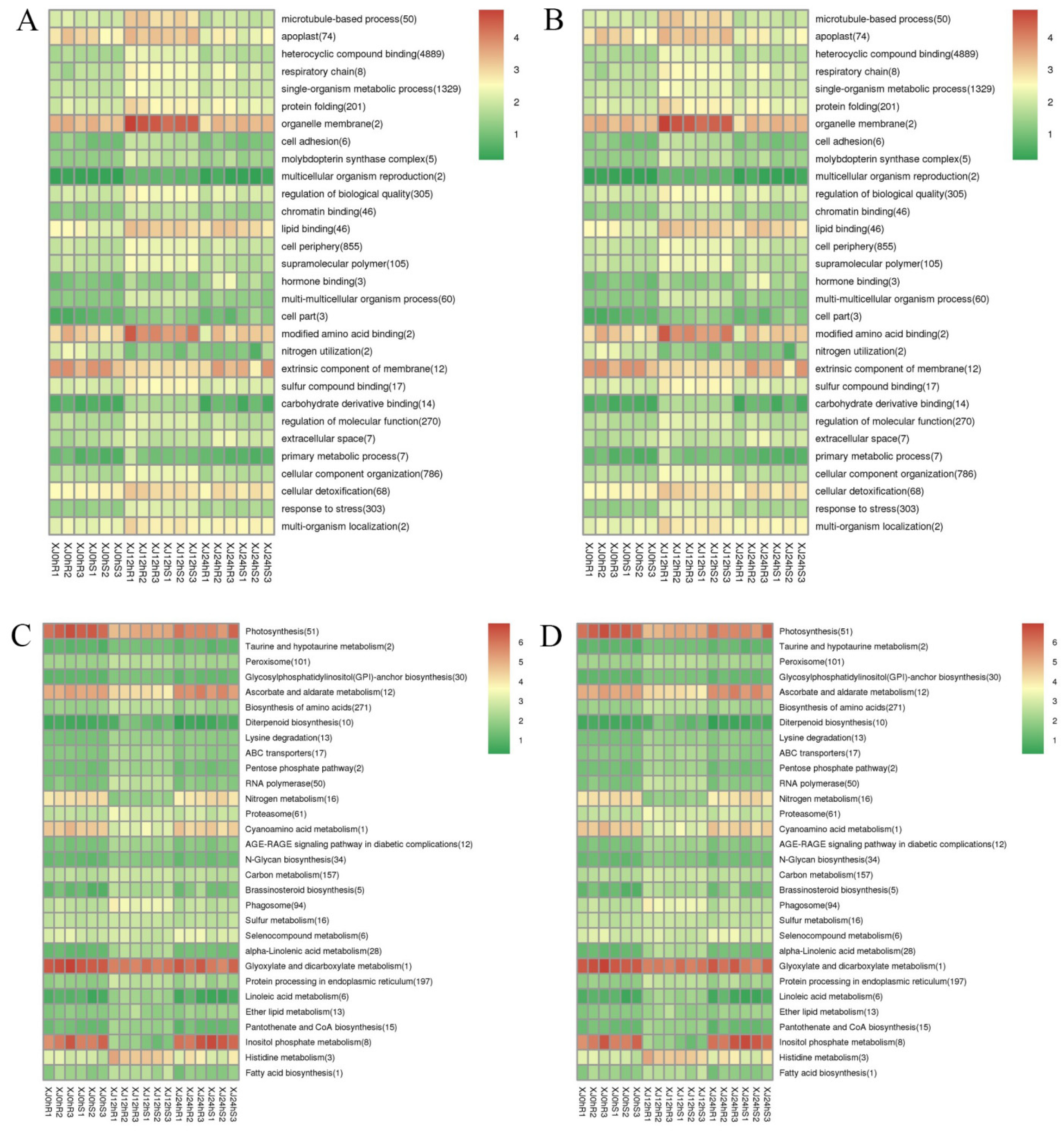 Genes 13 01159 g008 550