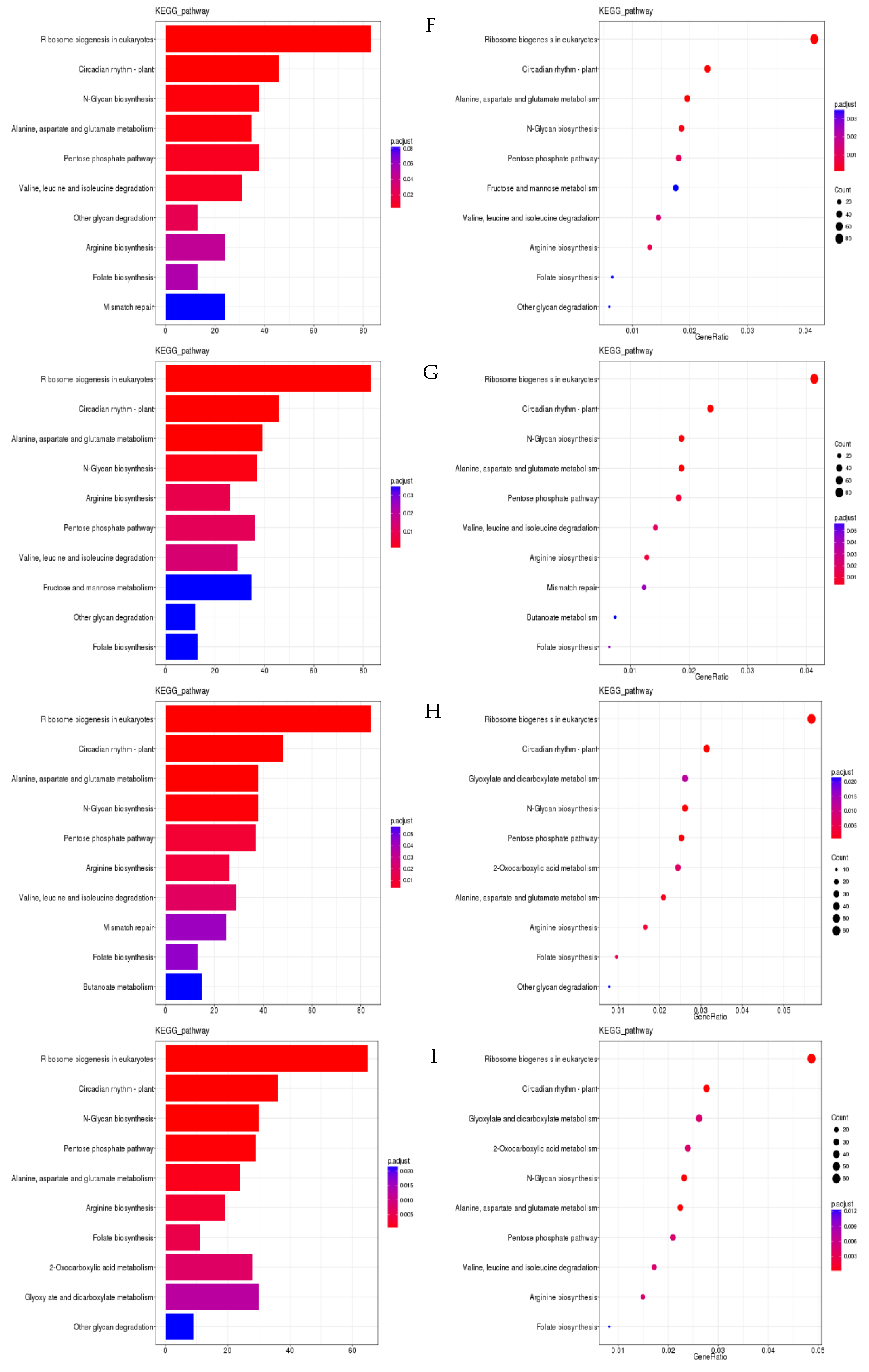 Genes 13 01159 g010b 550