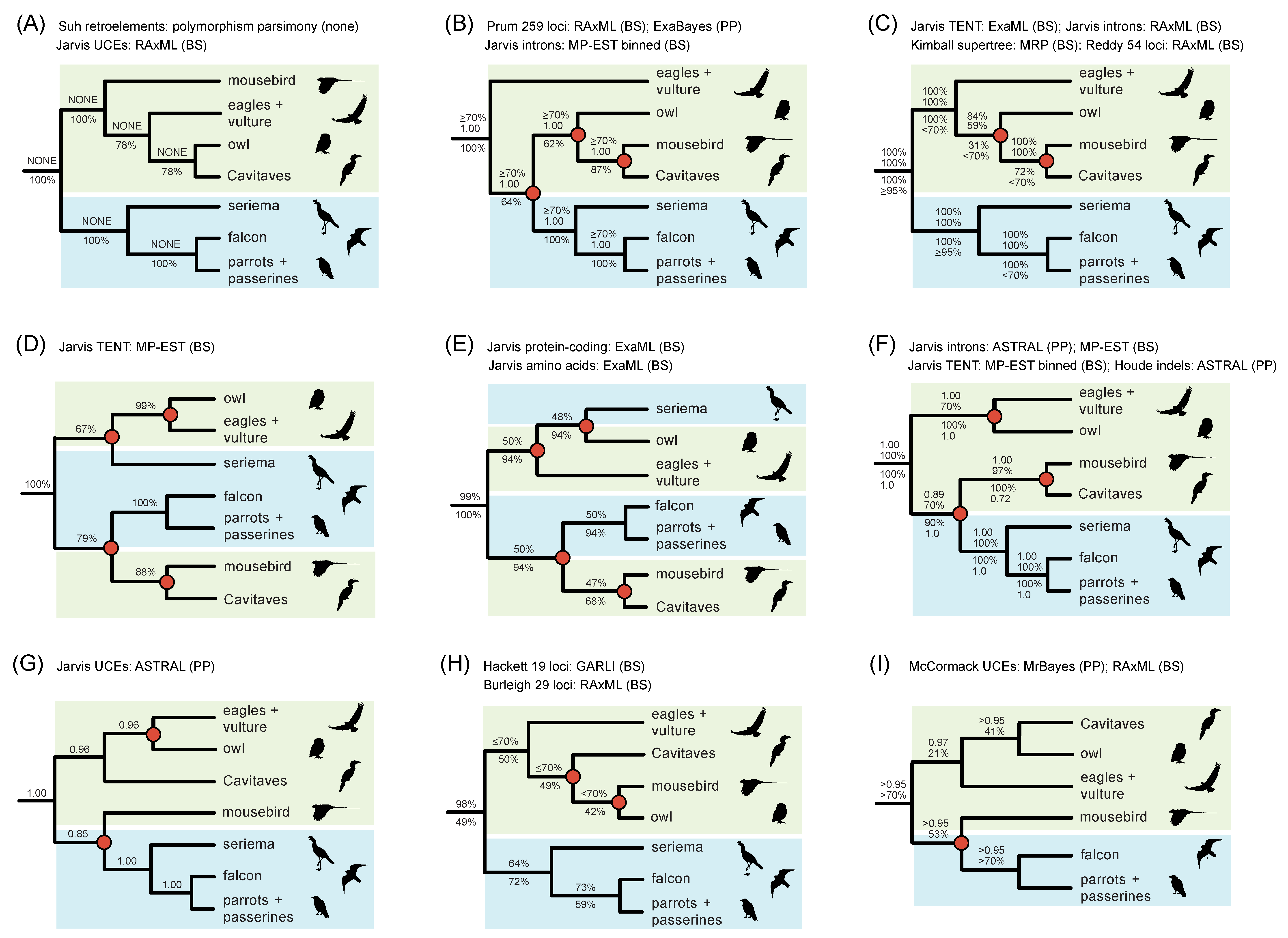 Genes 13 01167 g002 550