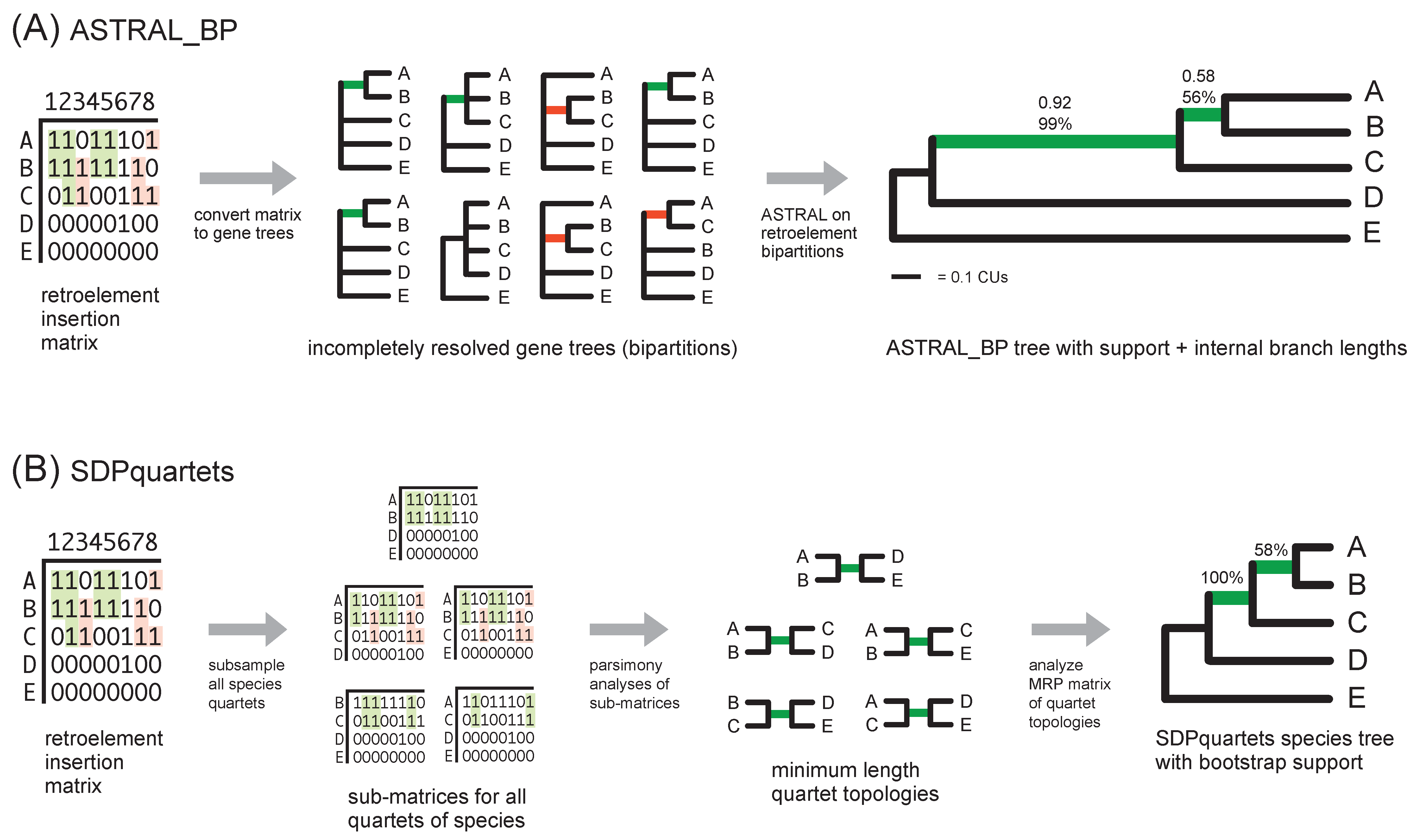 Genes 13 01167 g003 550