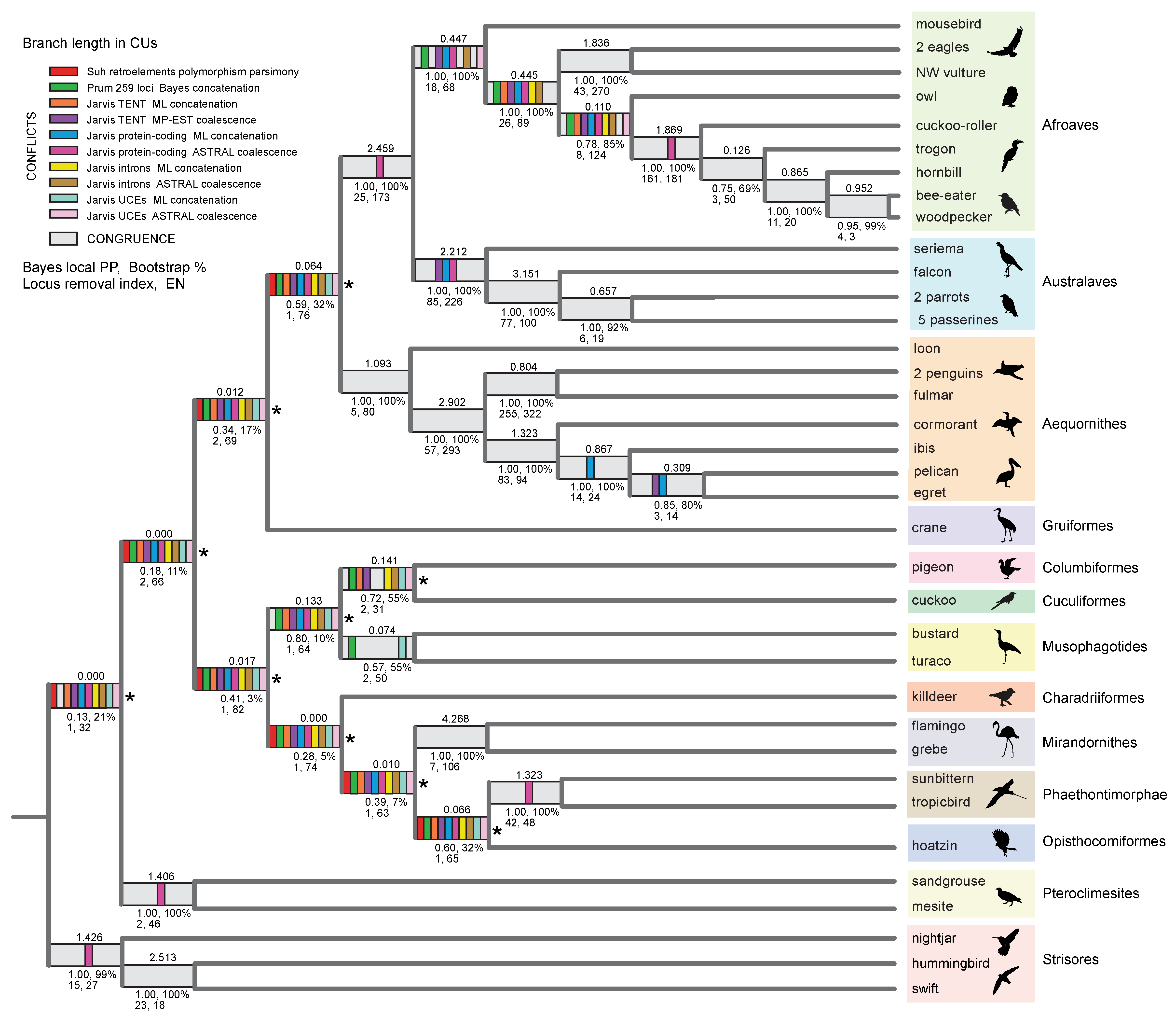 Genes 13 01167 g004 550