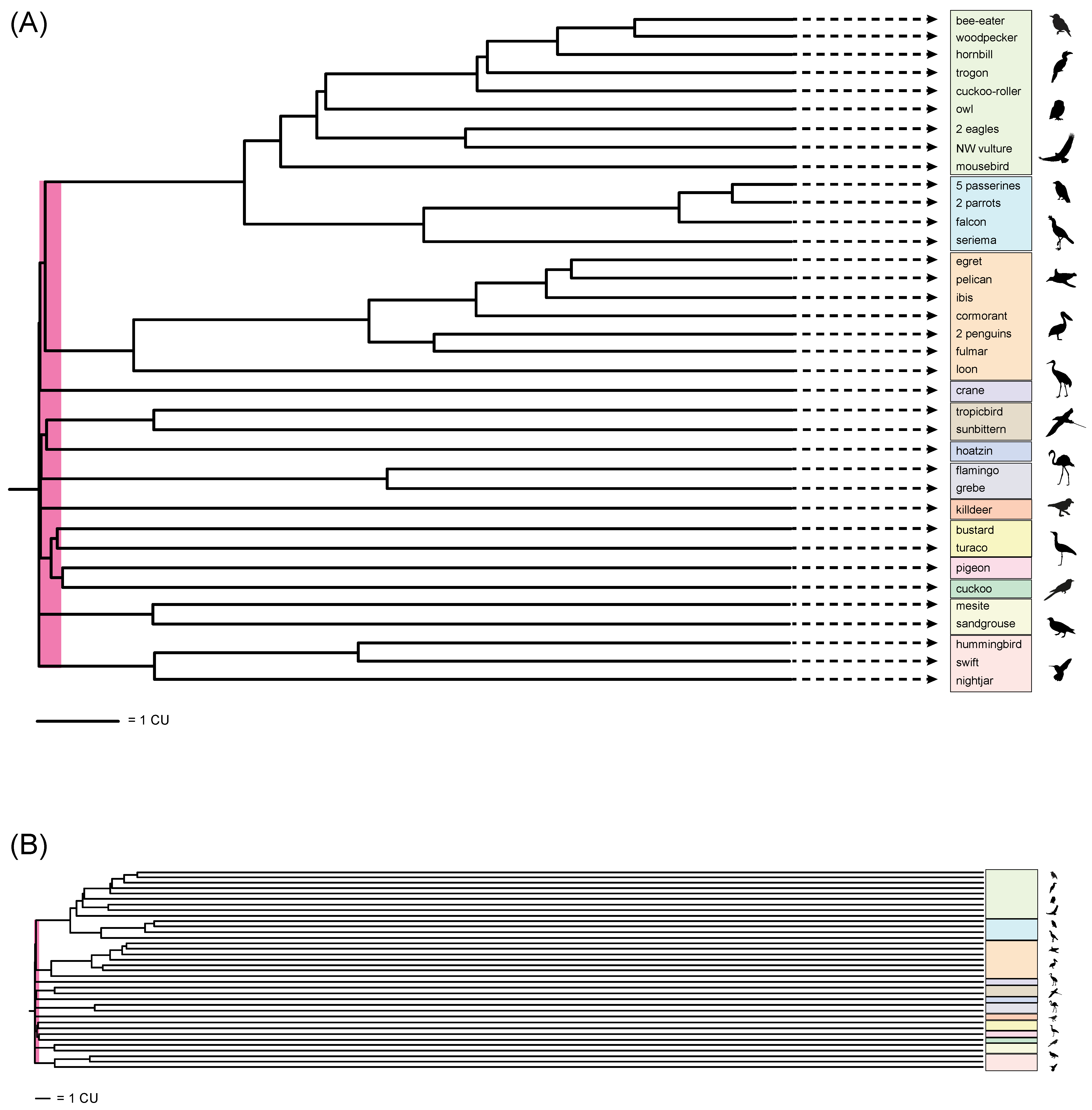 Genes 13 01167 g005 550