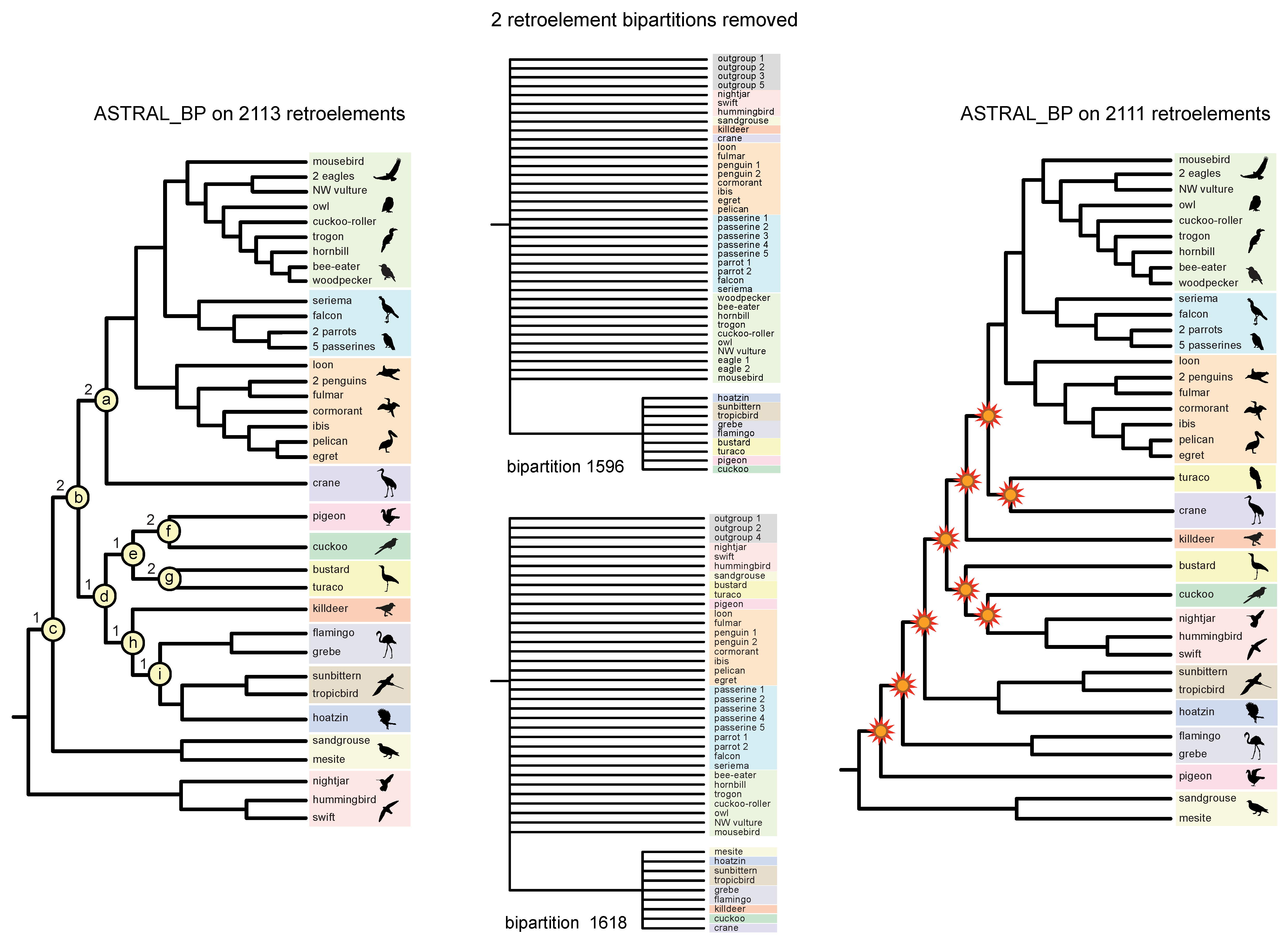 Genes 13 01167 g006 550
