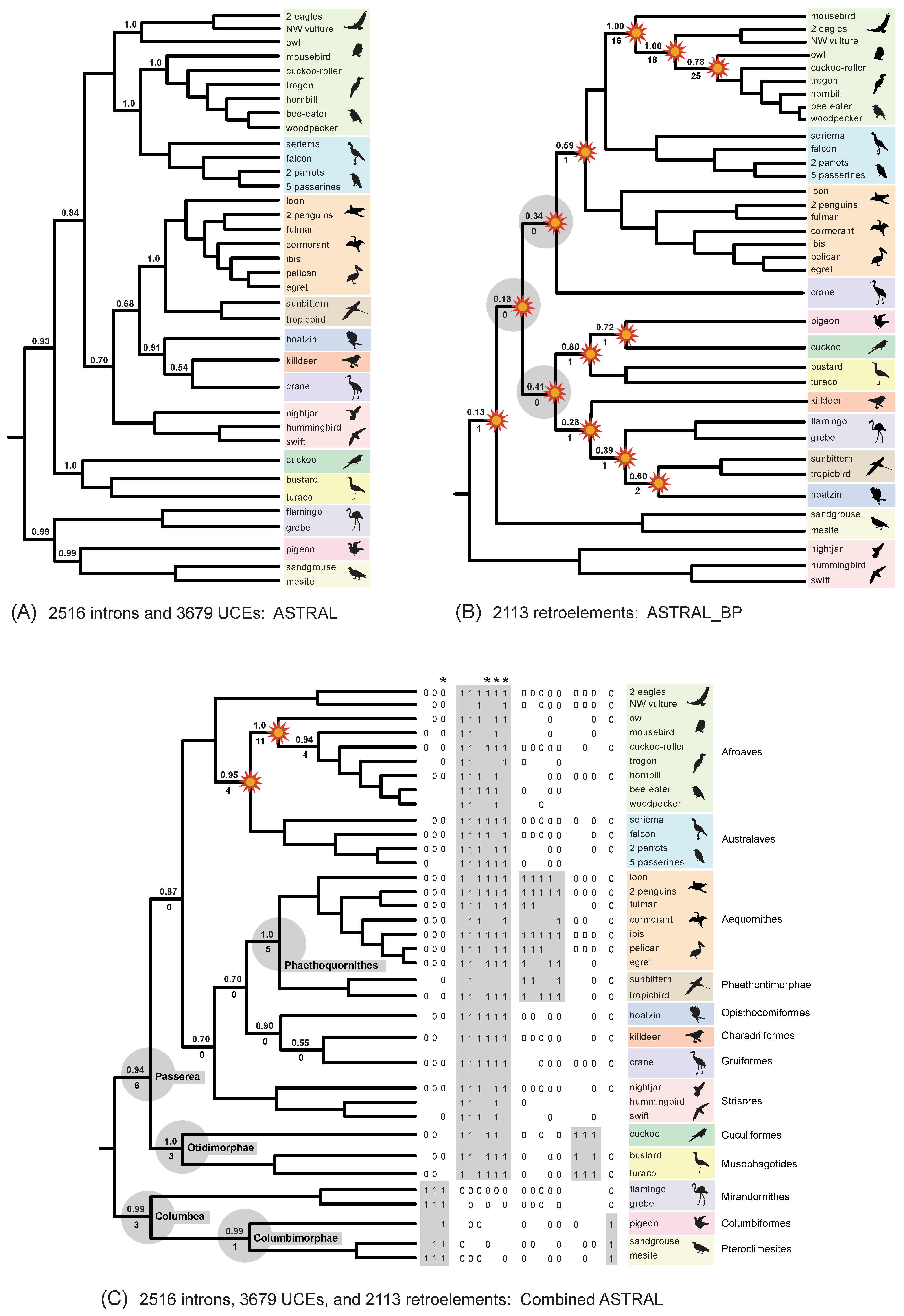 Genes 13 01167 g008 550