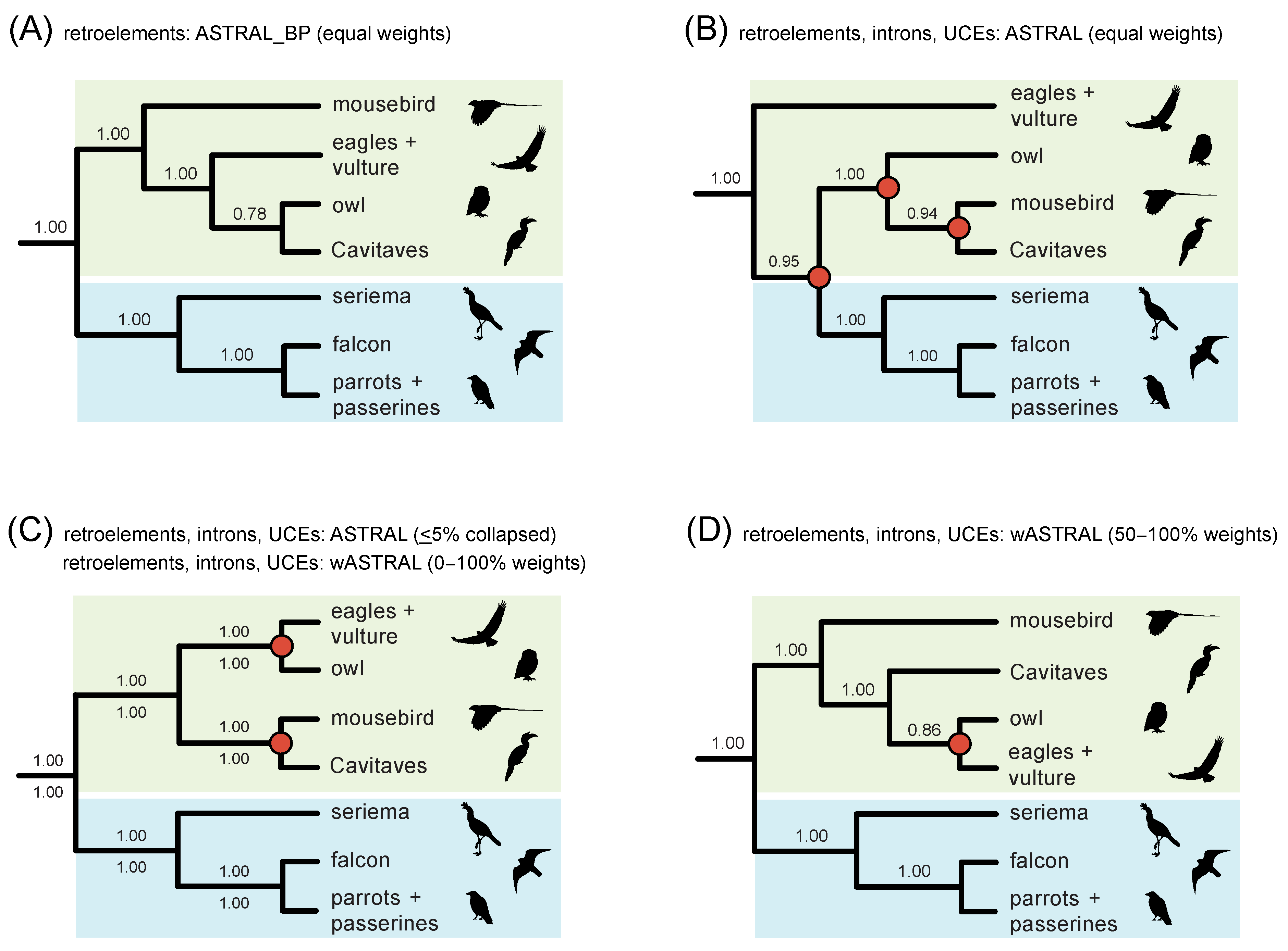 Genes 13 01167 g009 550
