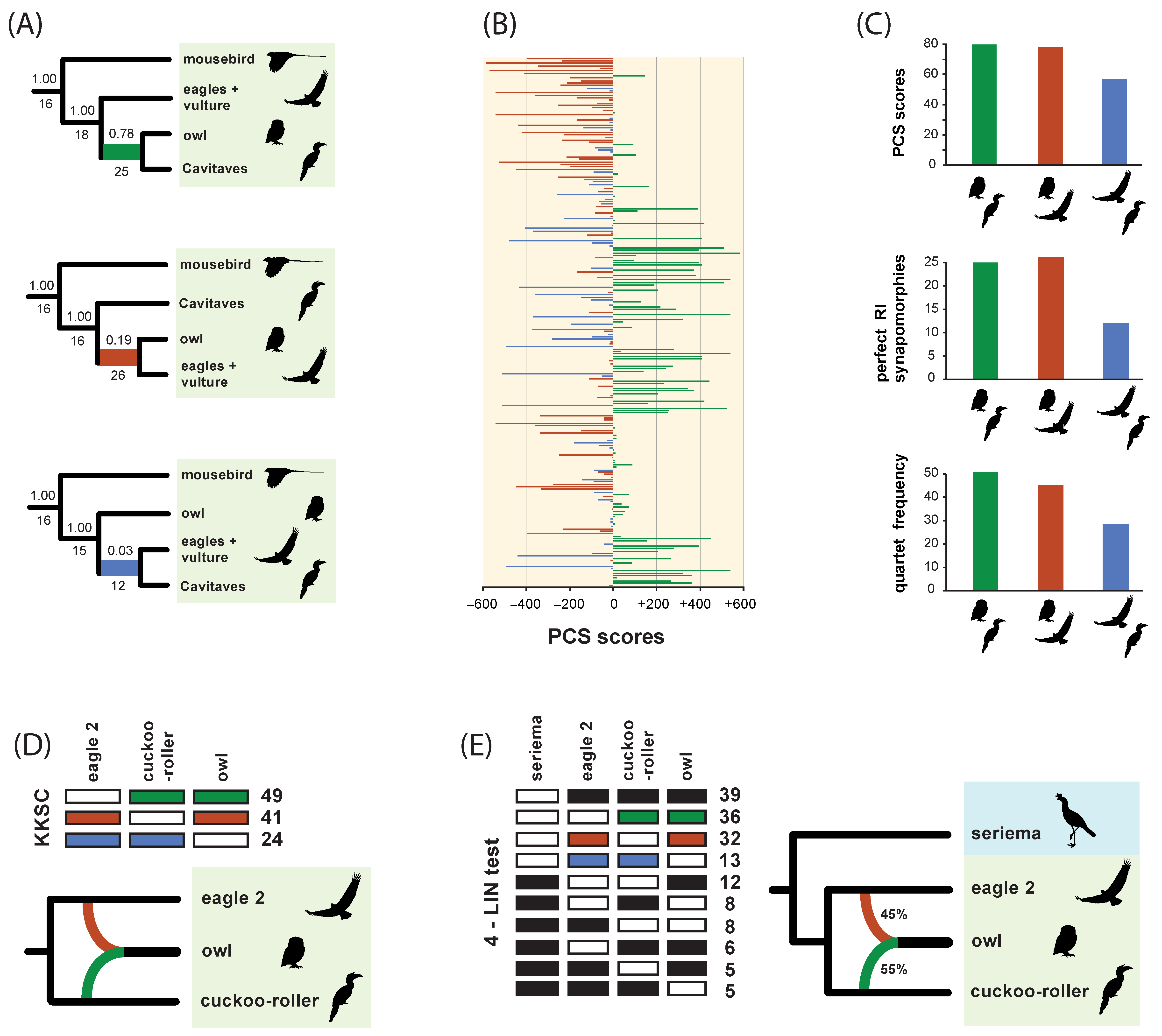 Genes 13 01167 g010 550