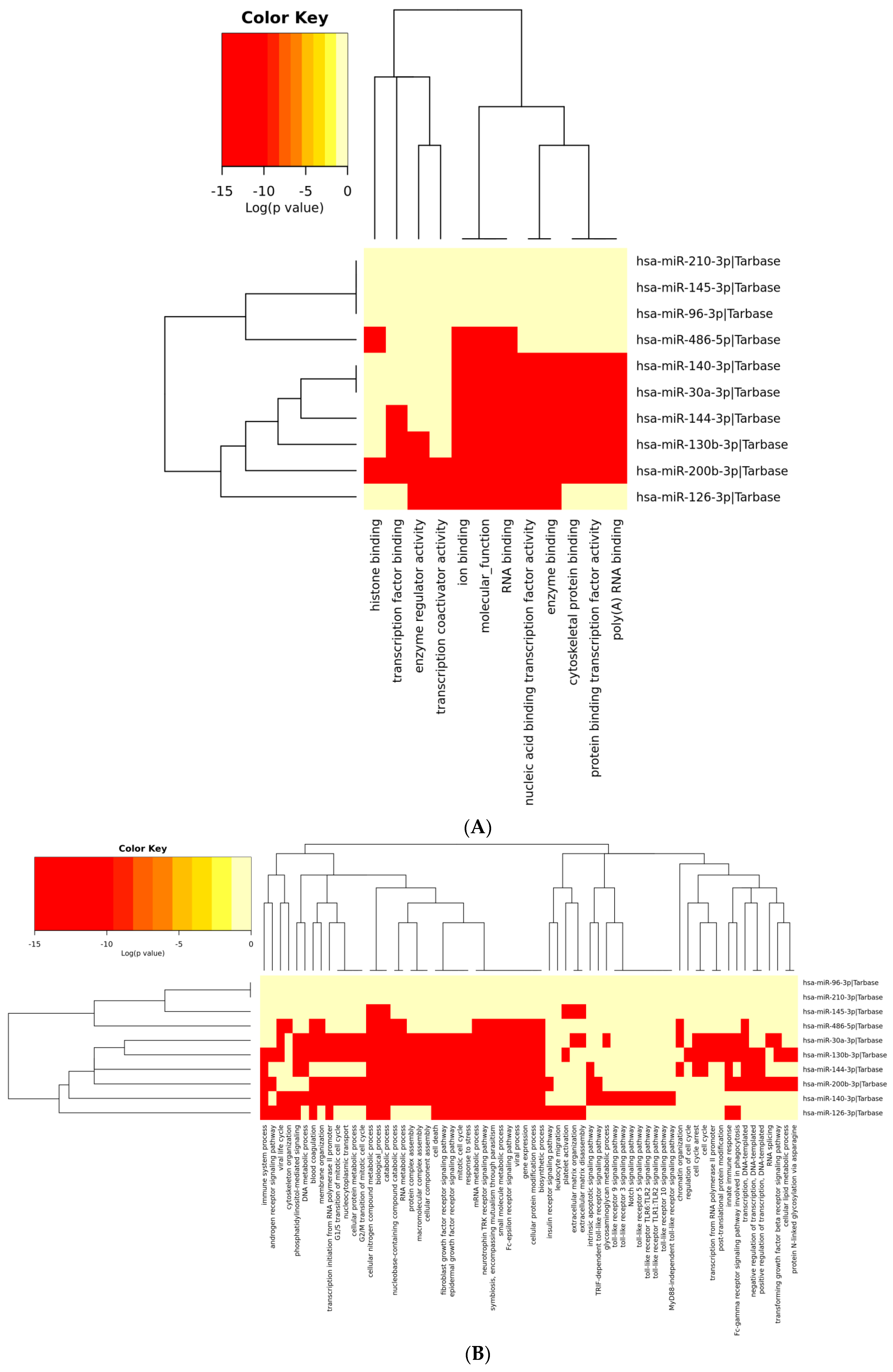 Genes 13 01174 g006a