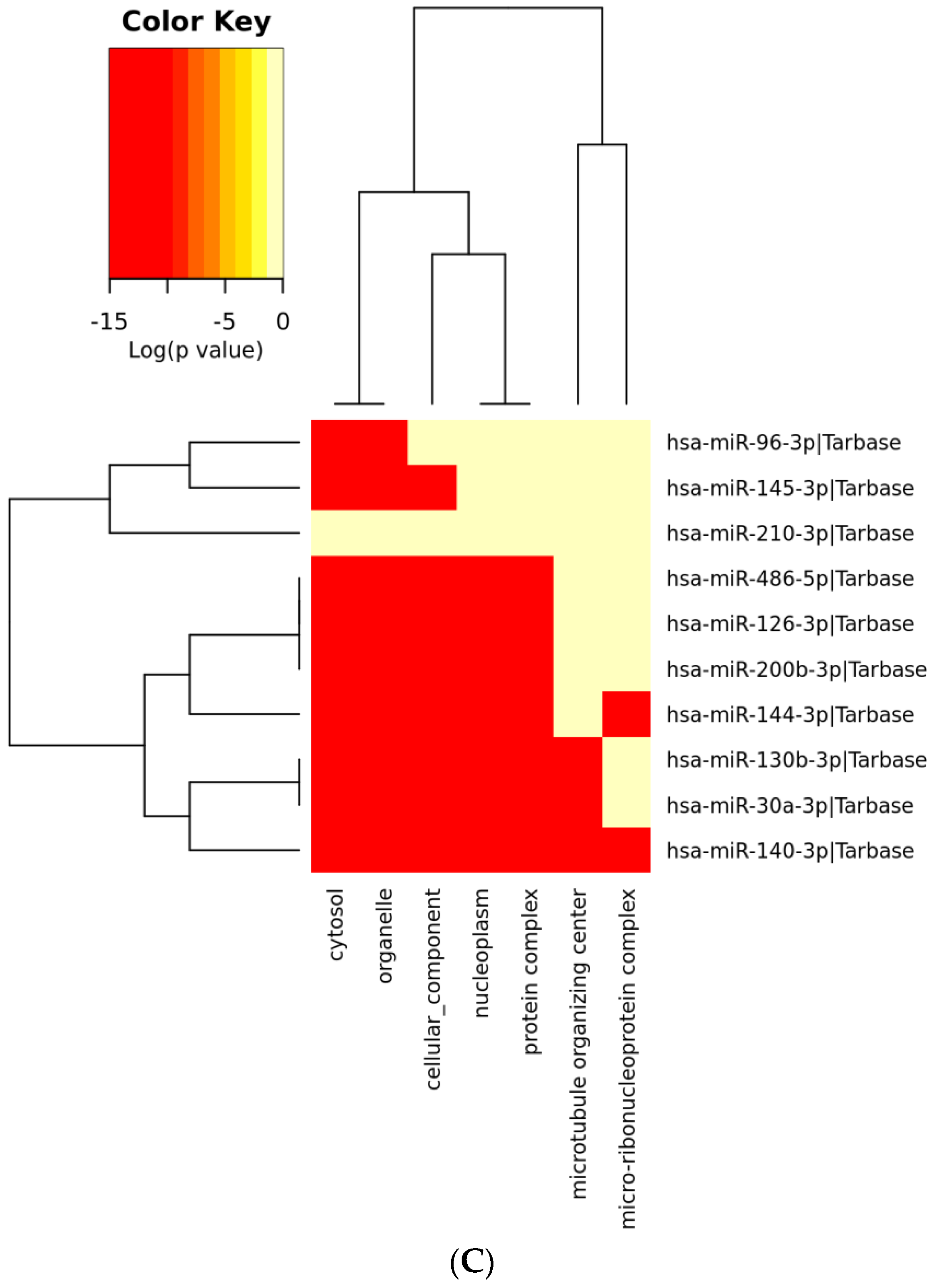 Genes 13 01174 g006b
