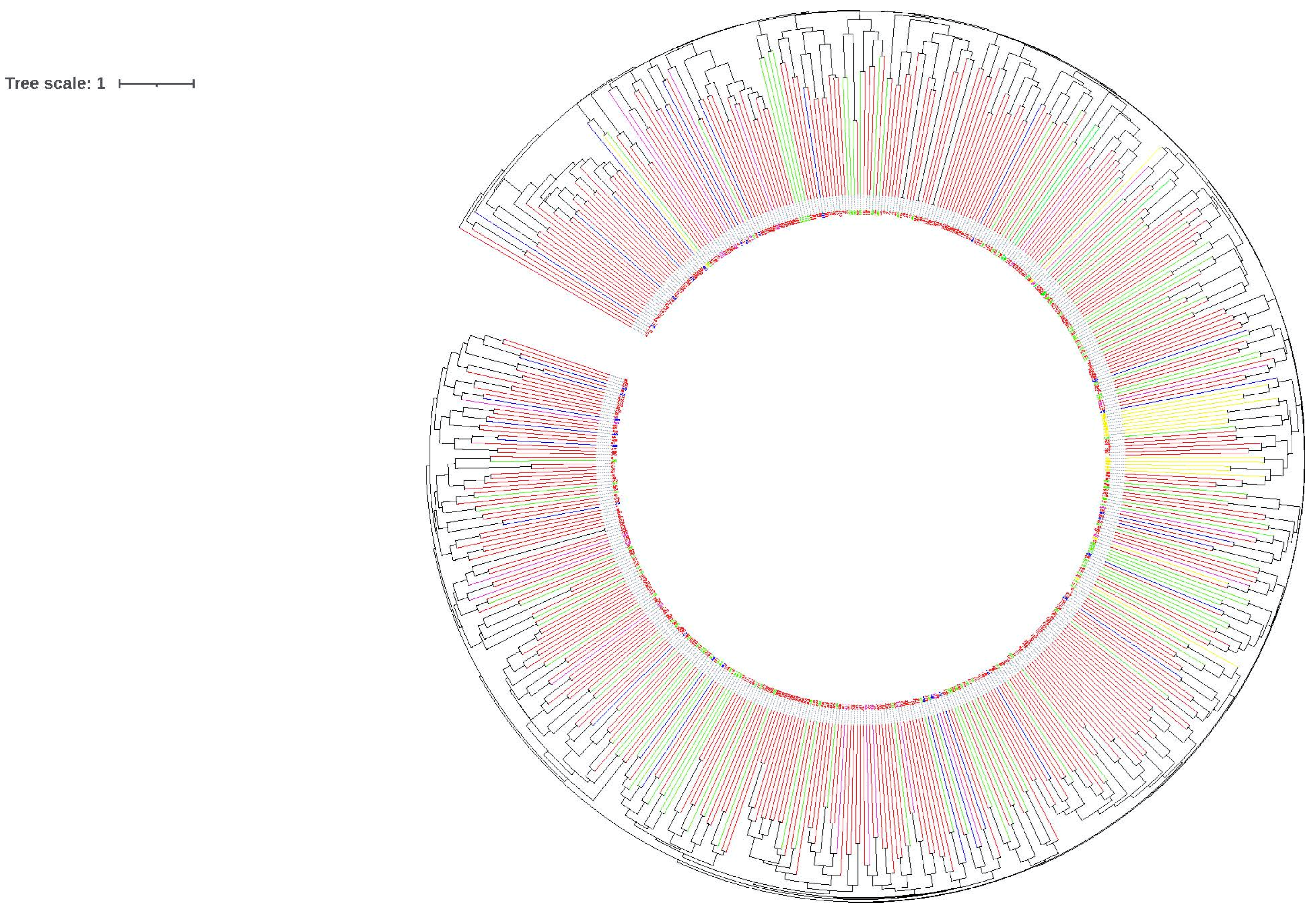 Genes 13 01175 g002 550