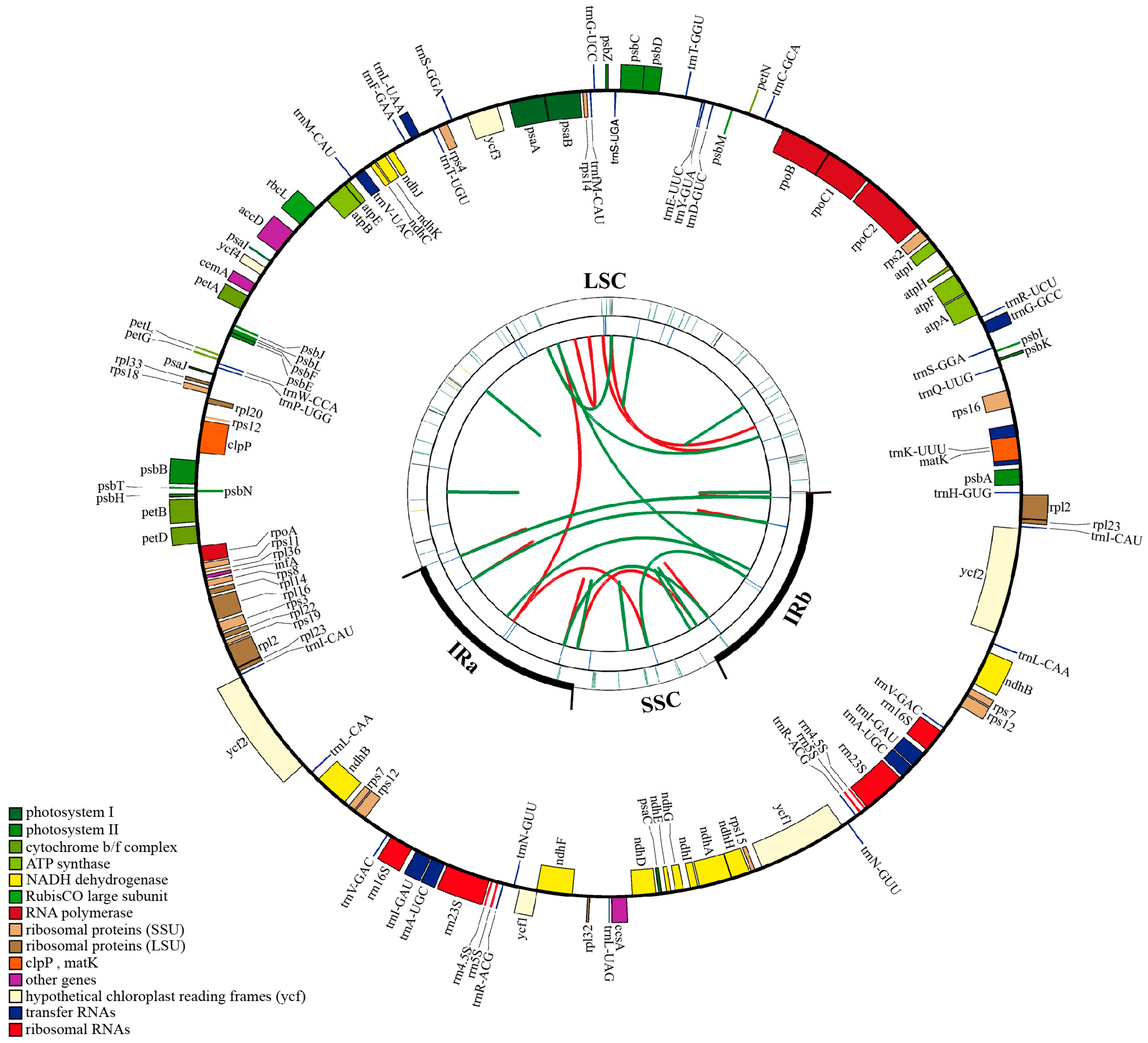 Genes 13 01184 g001 Genes 13 01184 g001