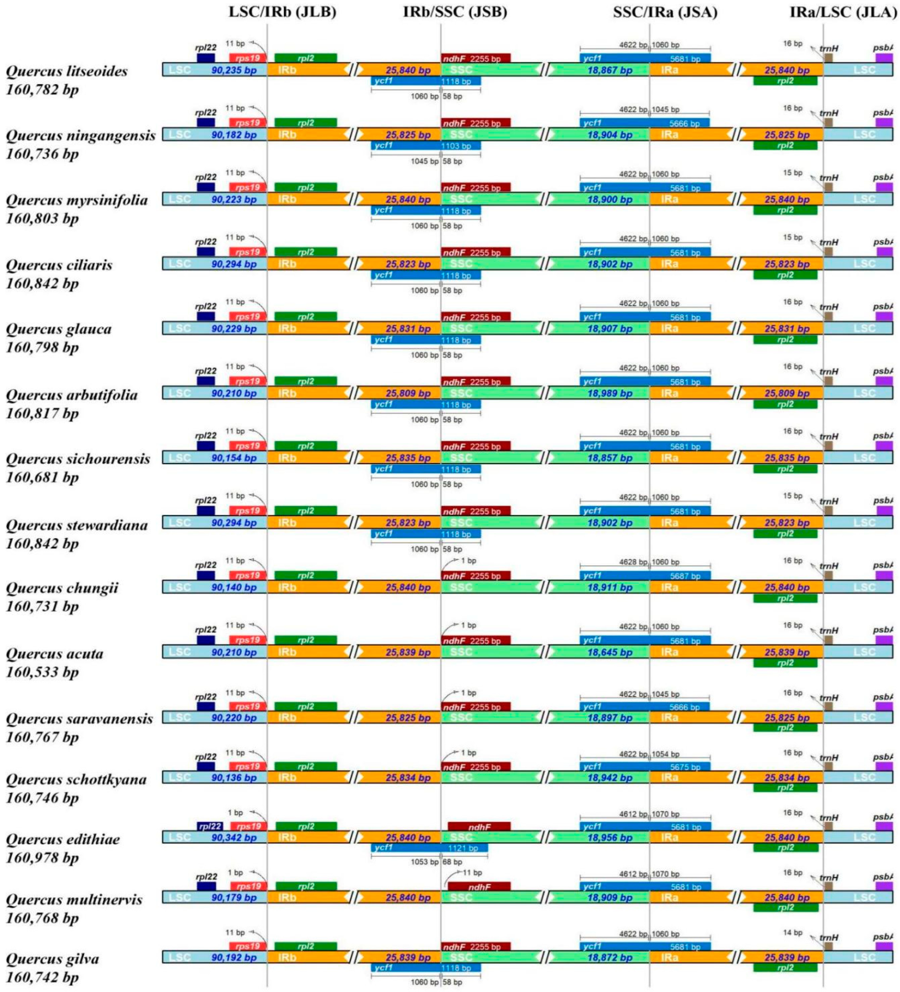 Genes 13 01184 g002 Genes 13 01184 g002