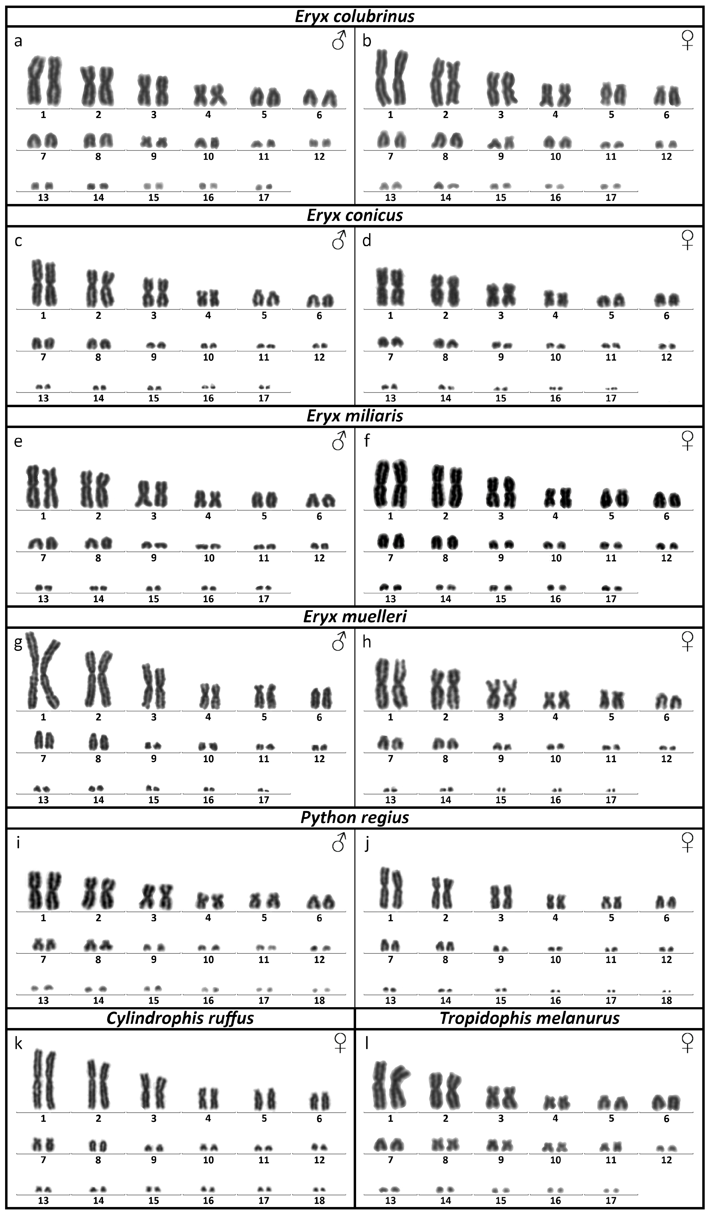 Genes 13 01185 g001 Genes 13 01185 g001