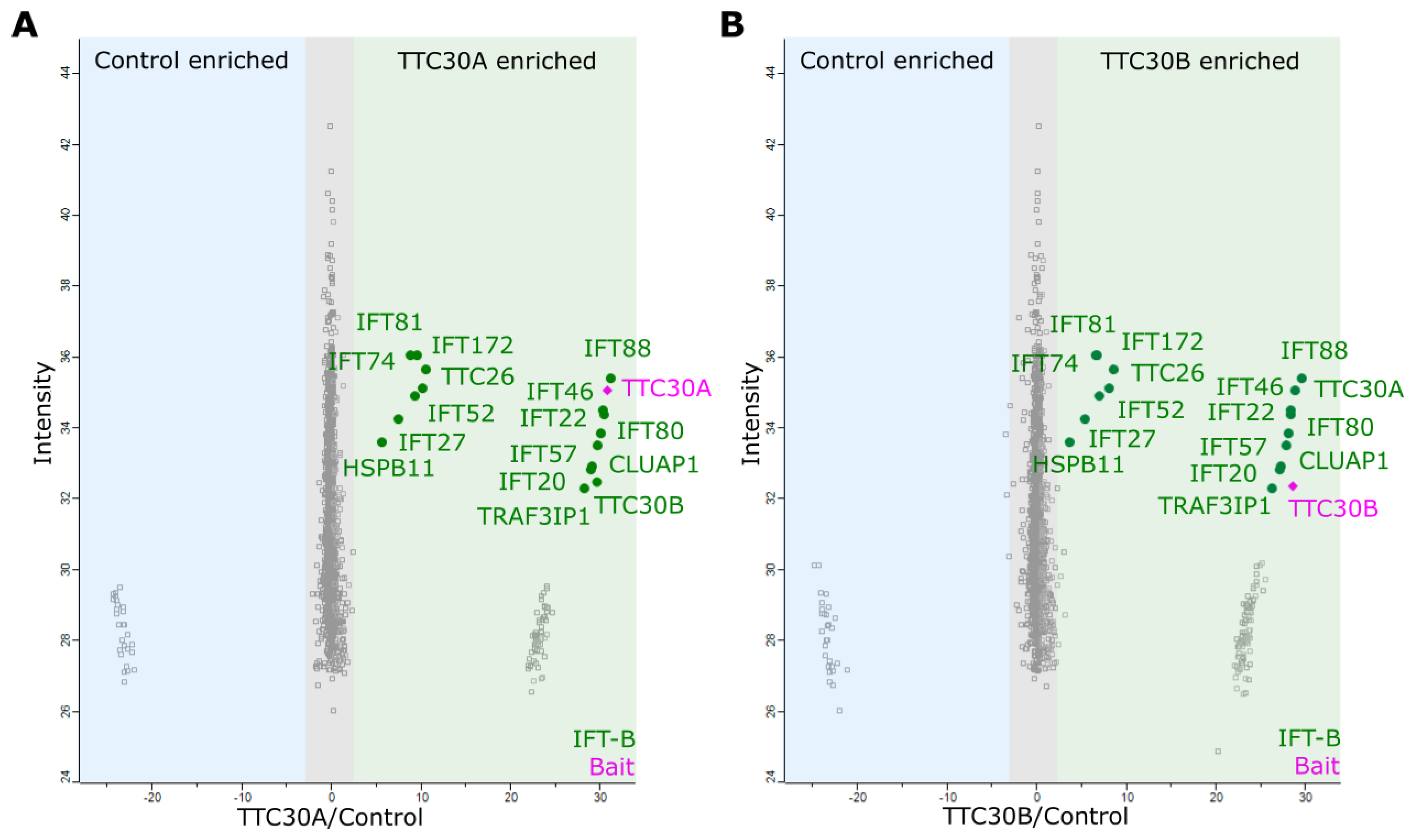Genes 13 01191 g007