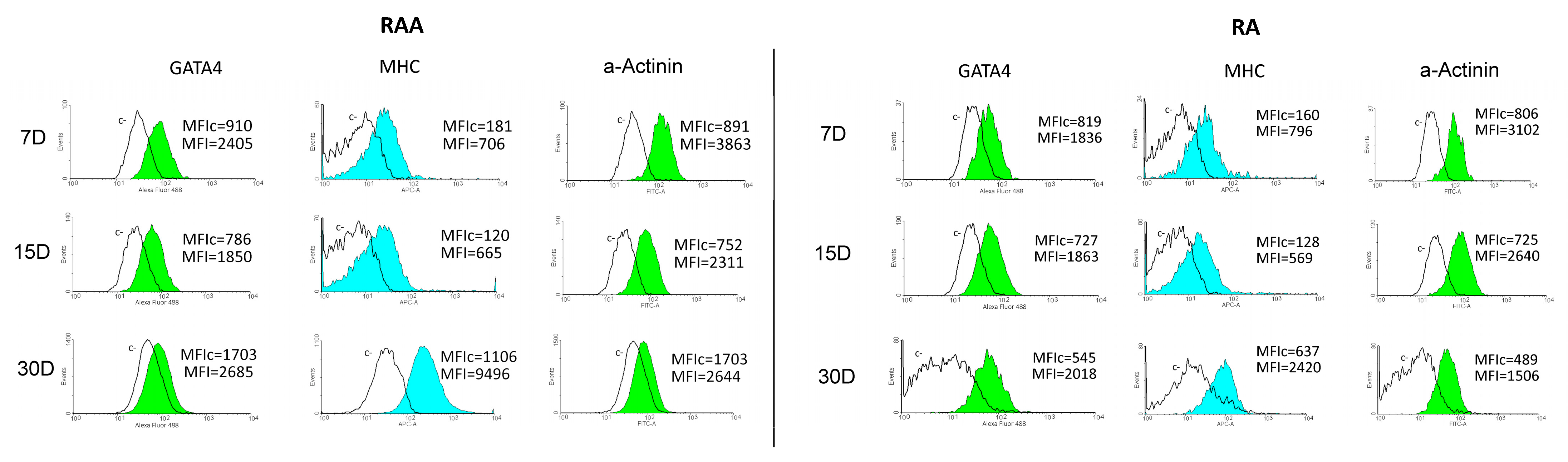 Genes 13 01205 g003 Genes 13 01205 g003