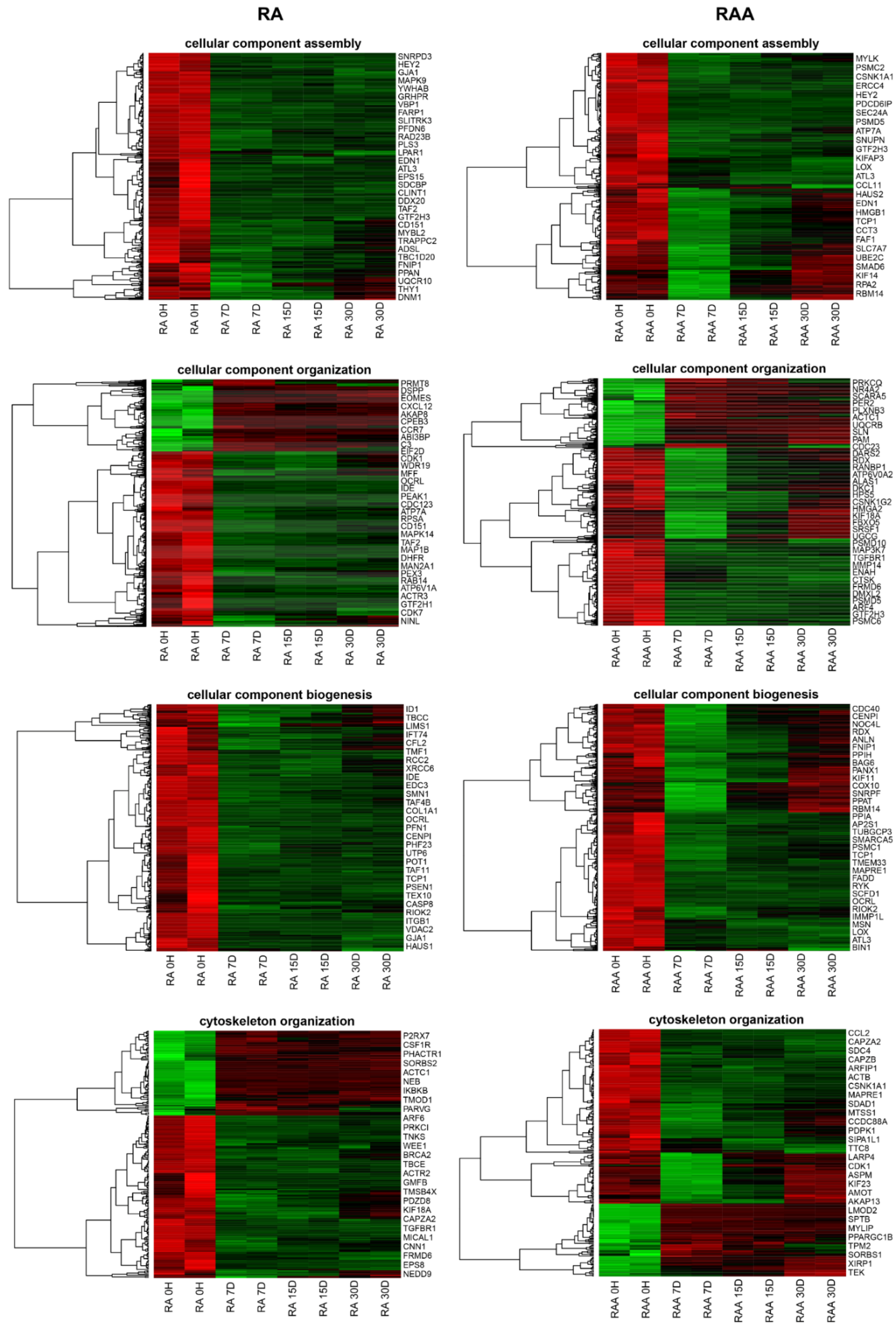 Genes 13 01205 g004 Genes 13 01205 g004