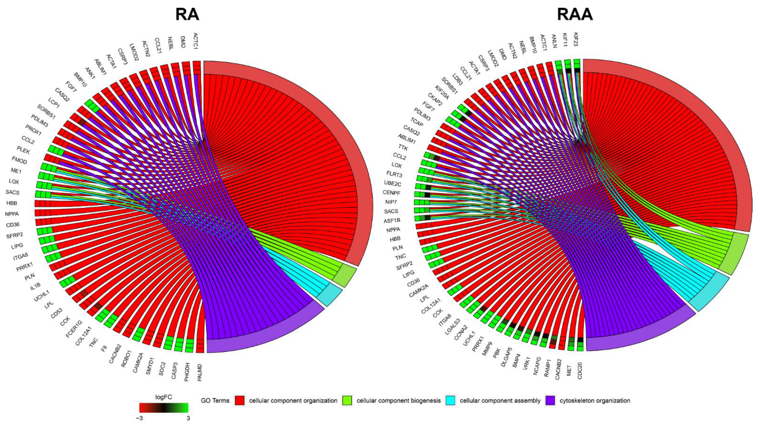 Genes 13 01205 g005 Genes 13 01205 g005