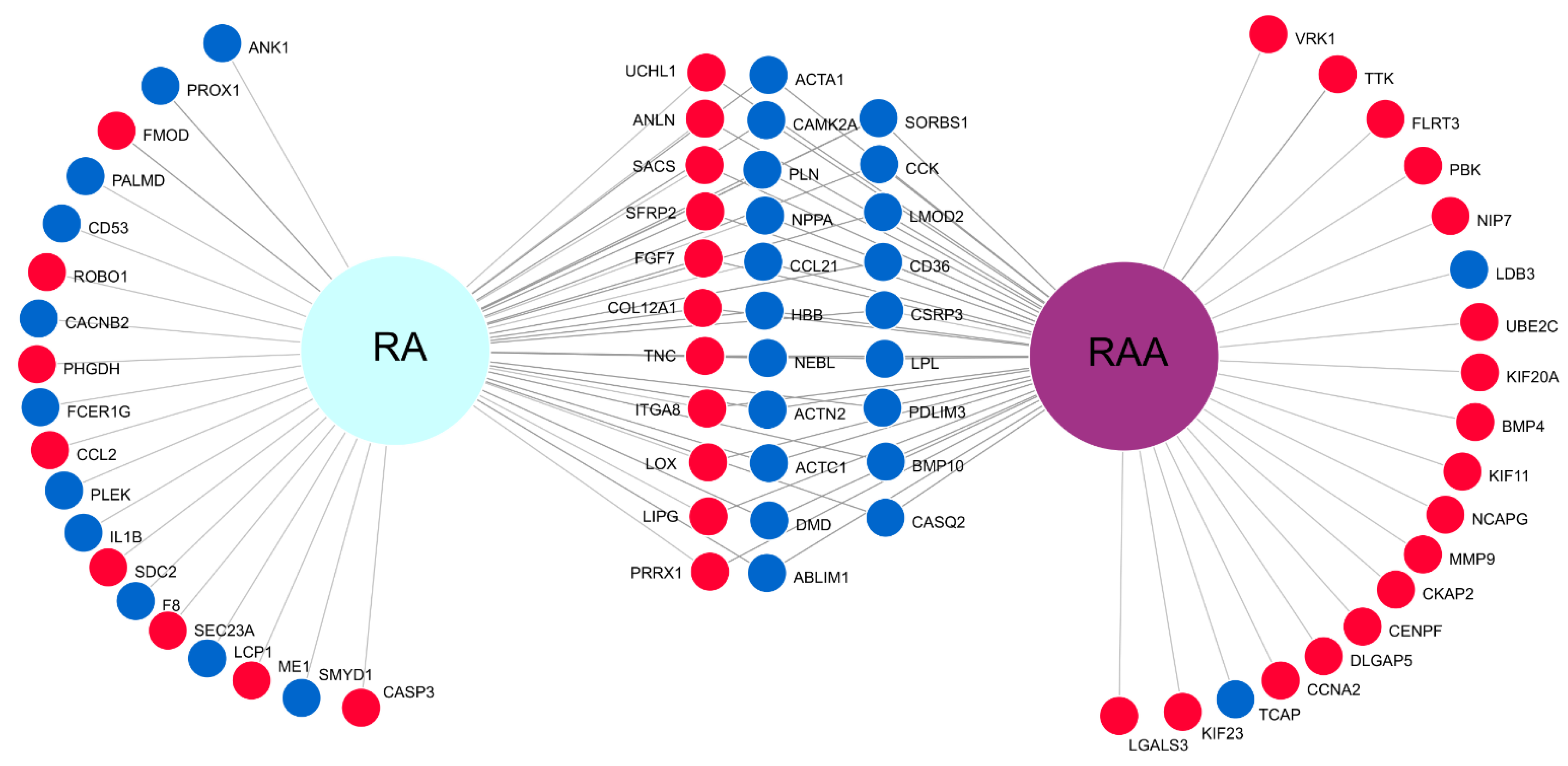 Genes 13 01205 g006 Genes 13 01205 g006