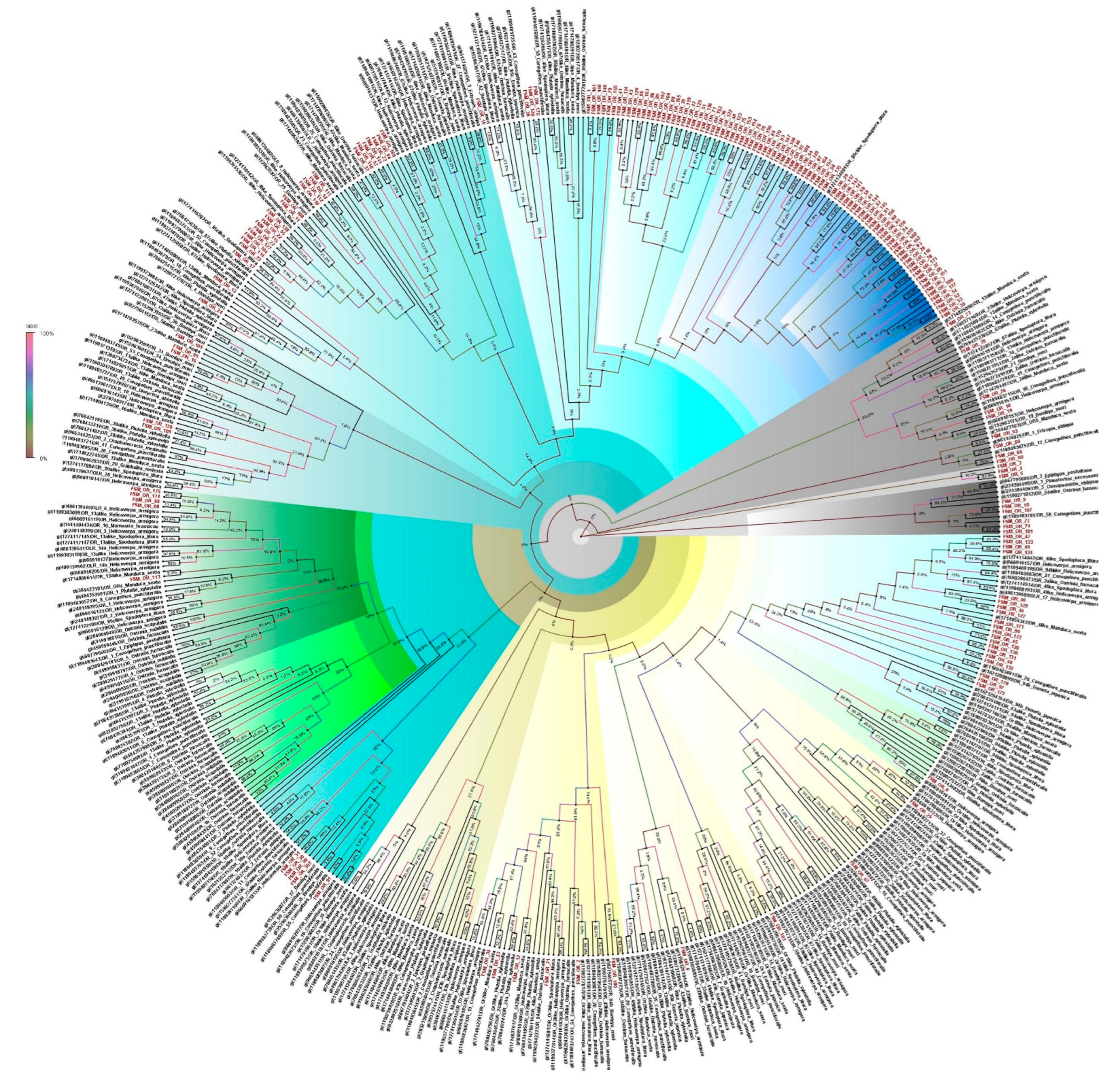 Genes 13 01207 g003 Genes 13 01207 g003