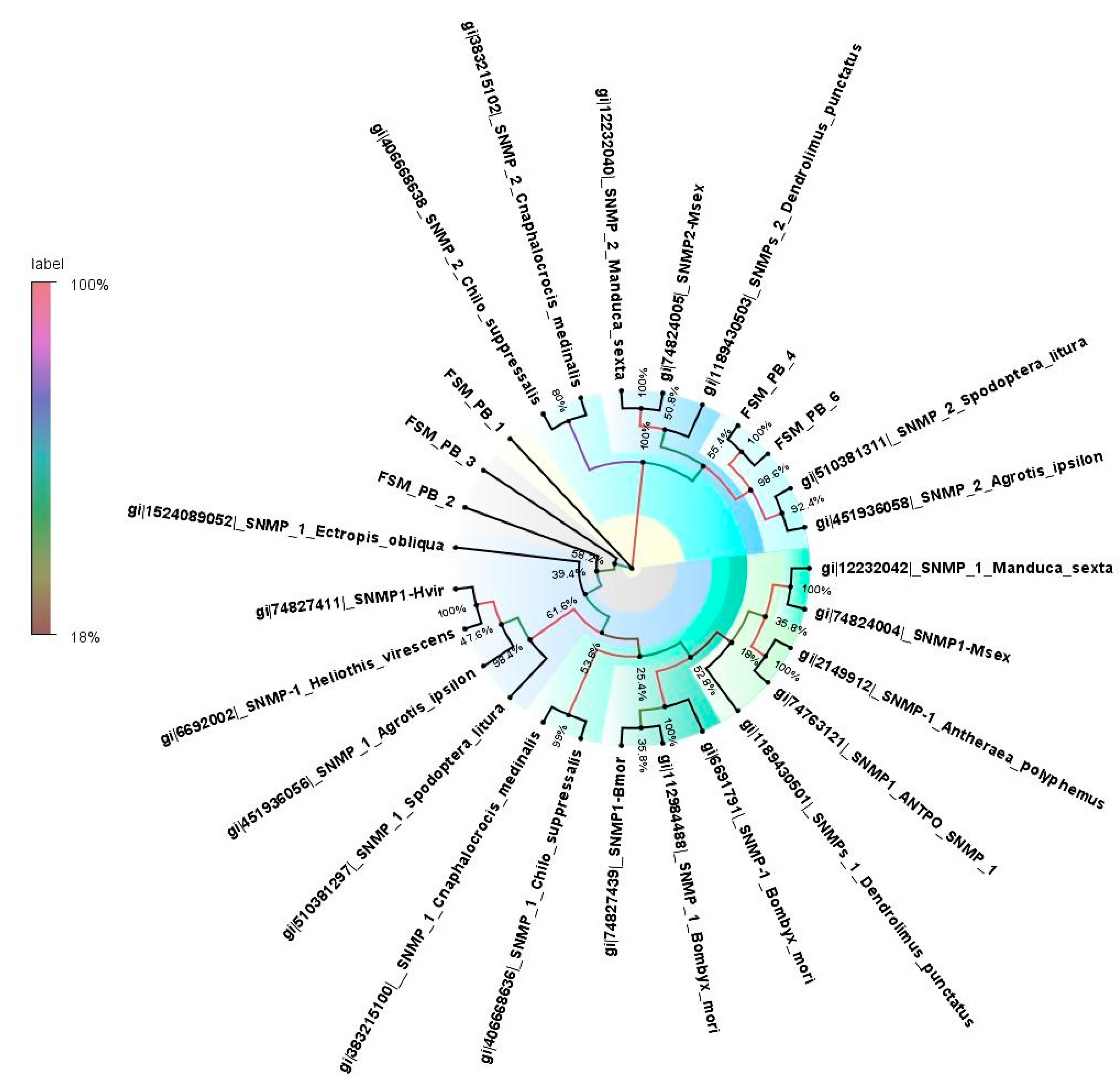 Genes 13 01207 g005 Genes 13 01207 g005