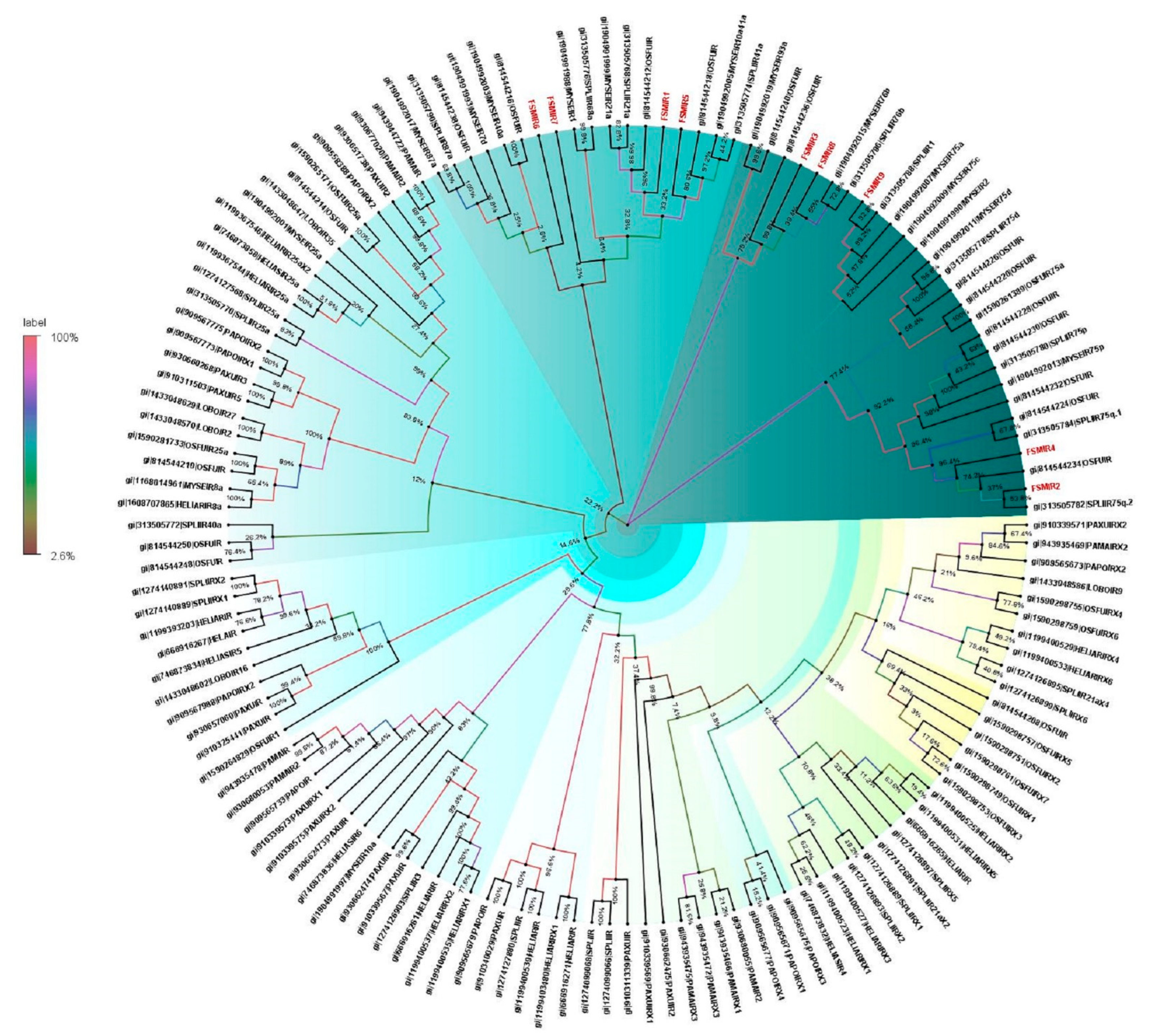 Genes 13 01207 g006 Genes 13 01207 g006
