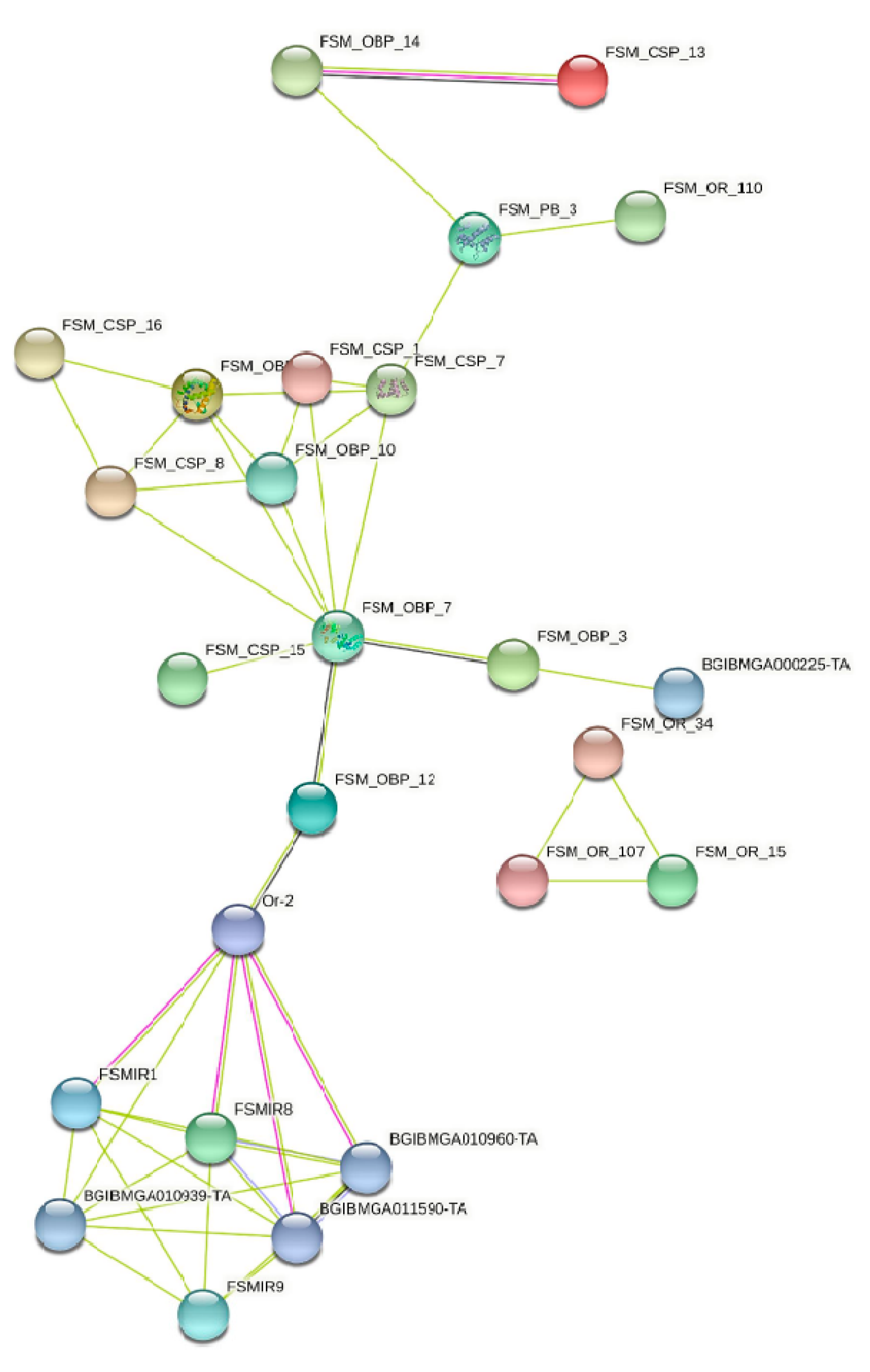 Genes 13 01207 g007a Genes 13 01207 g007a