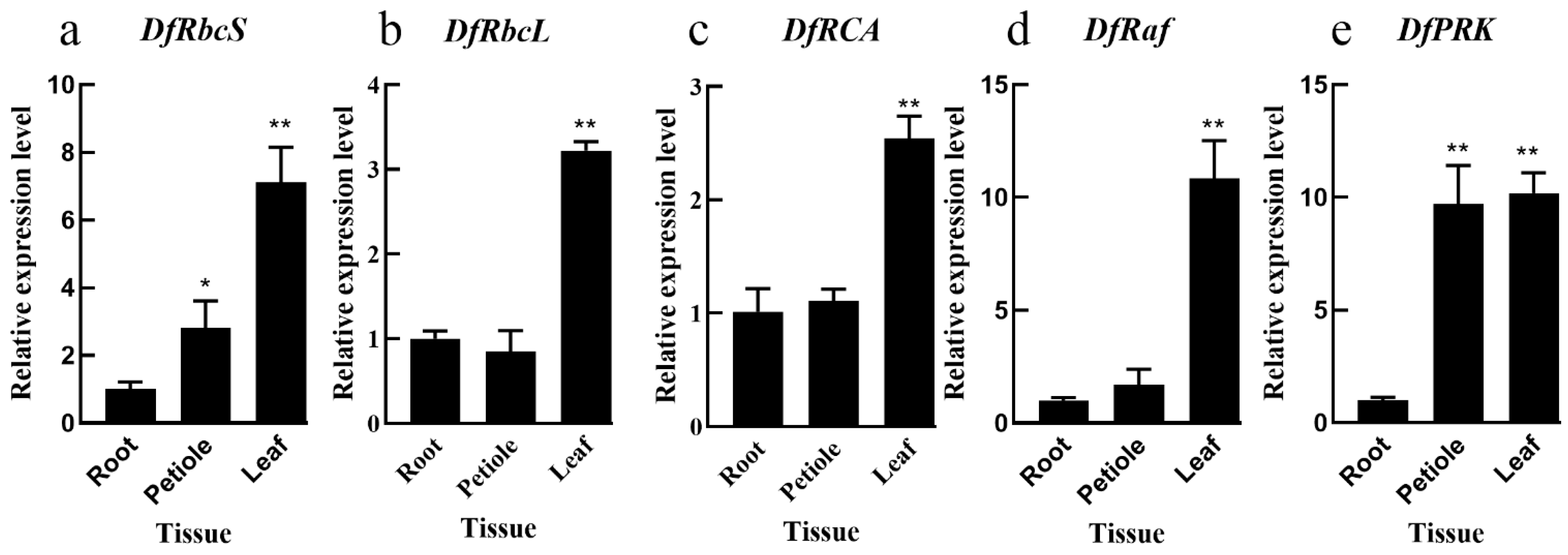 Genes 13 01212 g001 Genes 13 01212 g001