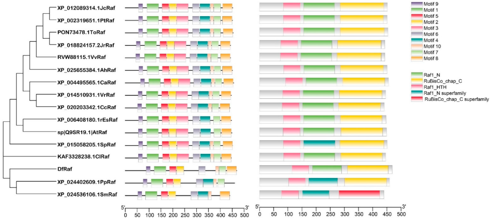 Genes 13 01212 g005 Genes 13 01212 g005