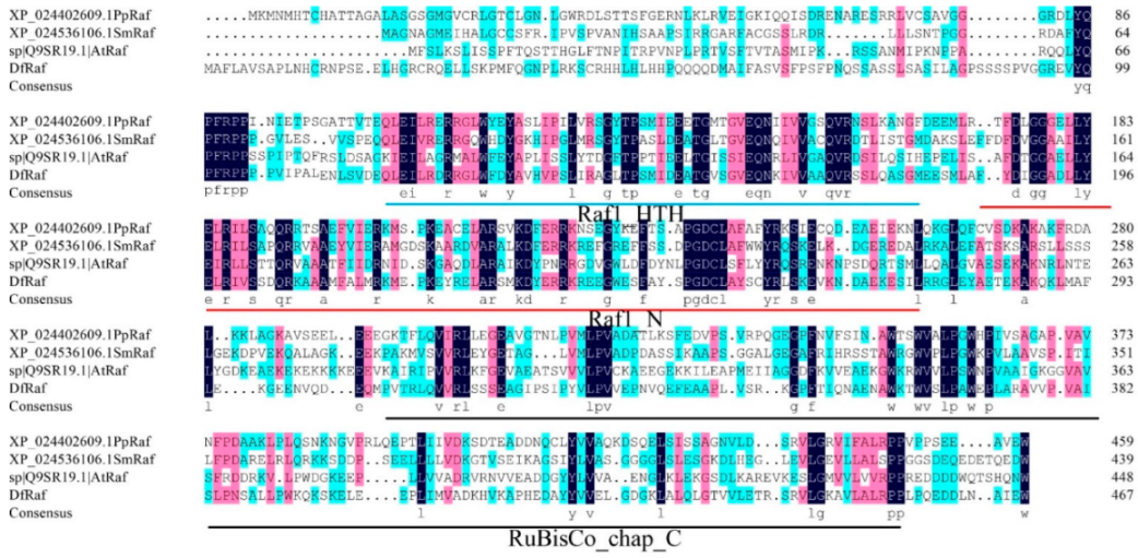 Genes 13 01212 g006 Genes 13 01212 g006
