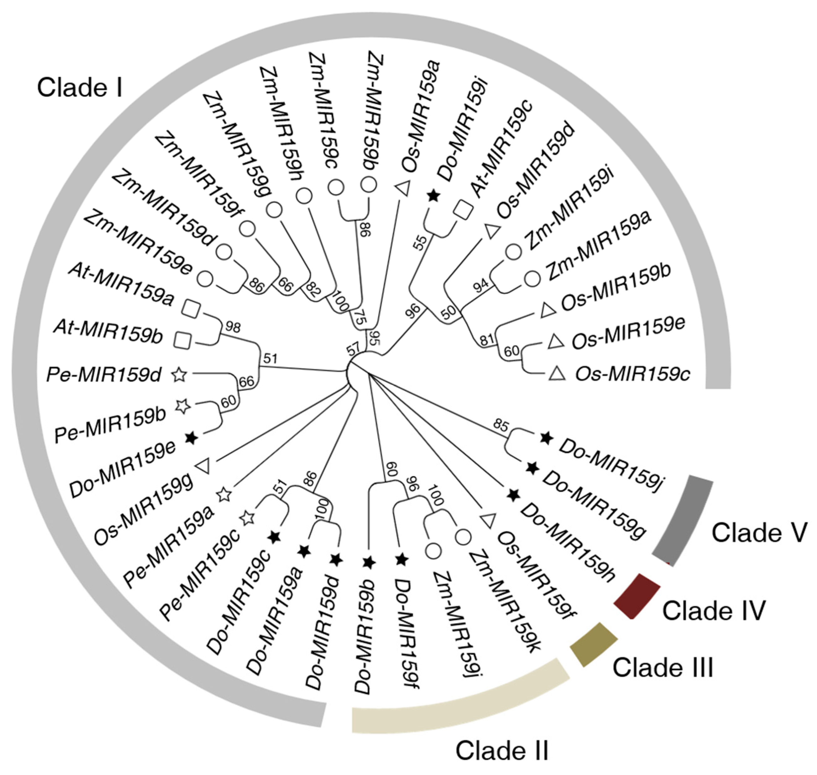 Genes 13 01221 g002 550