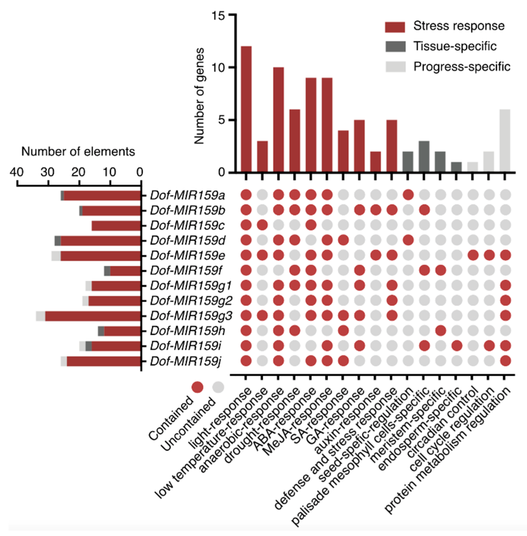 Genes 13 01221 g003 550
