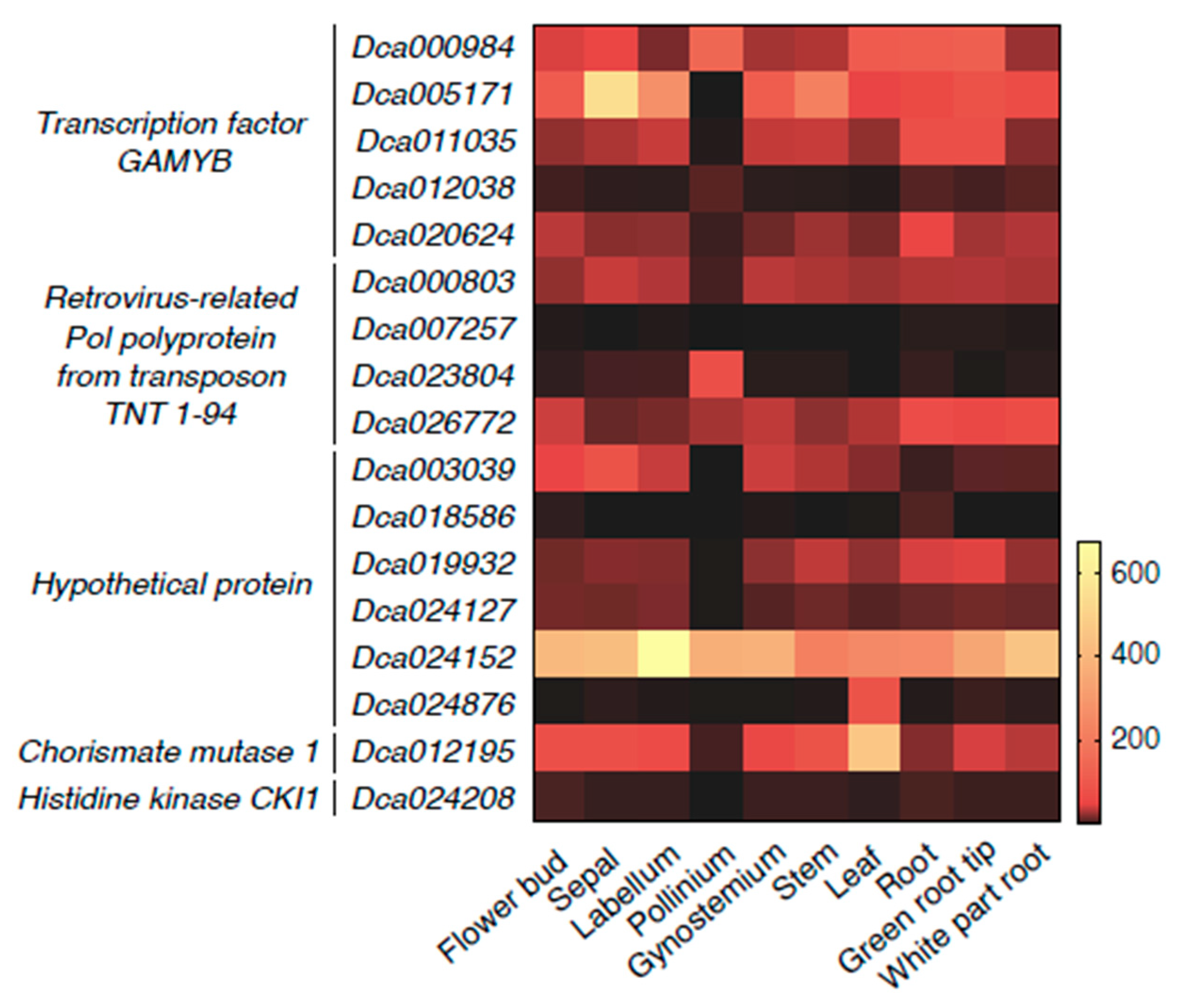 Genes 13 01221 g006 550