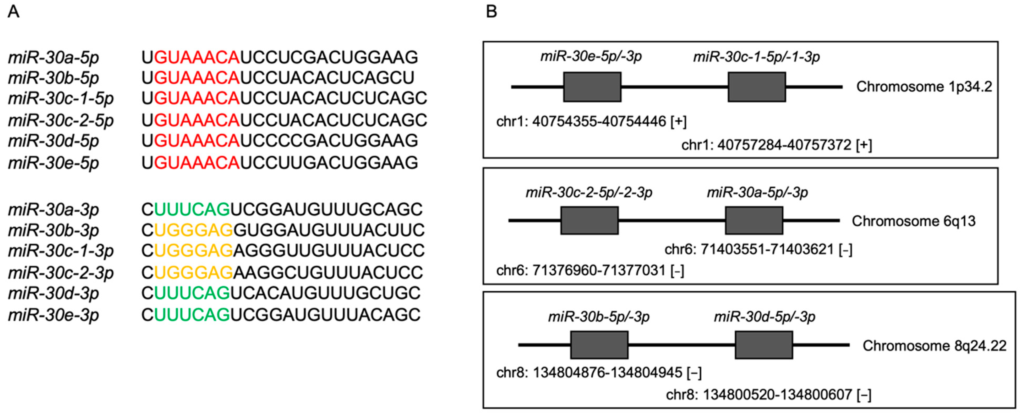 Genes 13 01225 g001 Genes 13 01225 g001