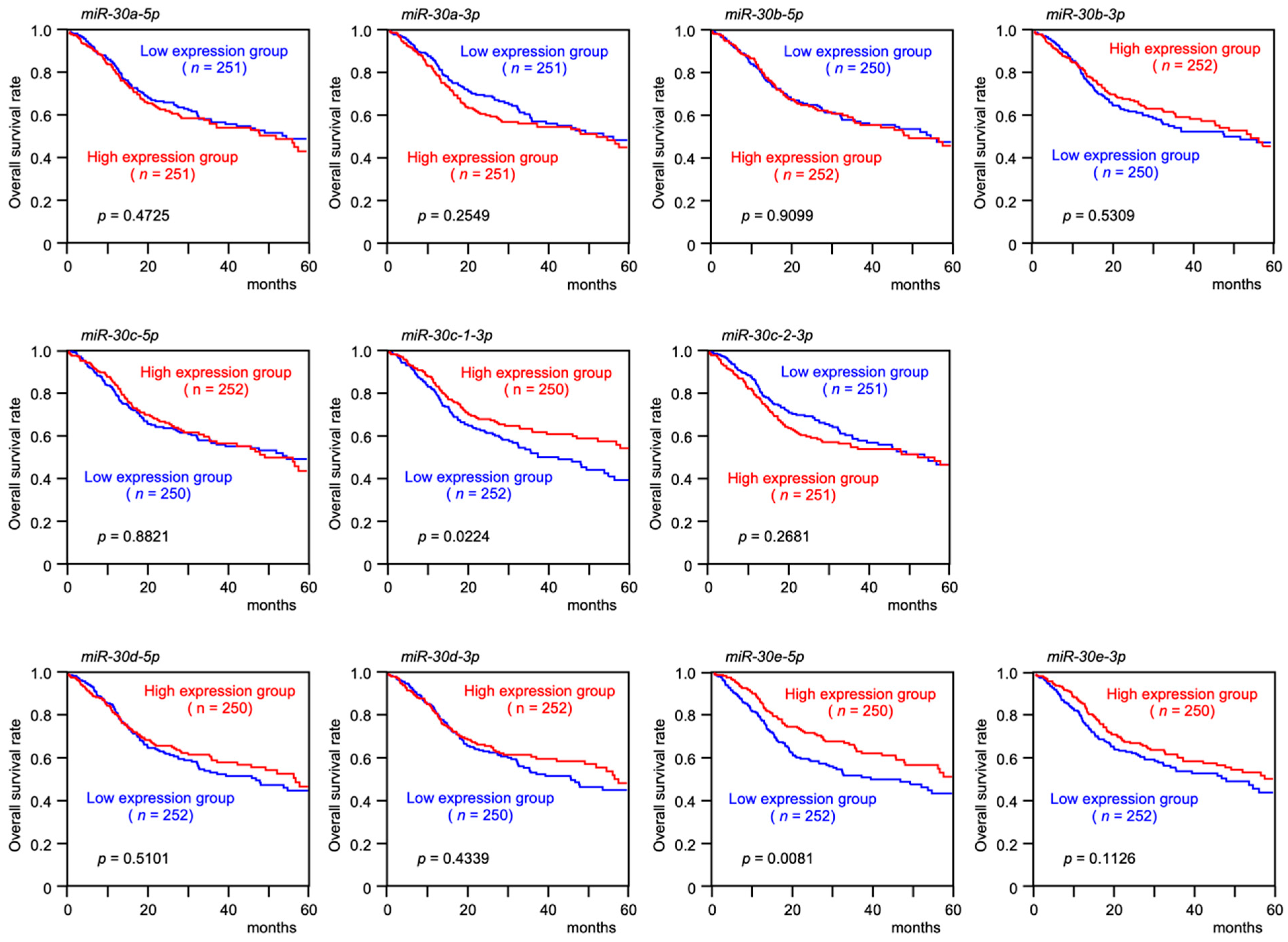 Genes 13 01225 g003 Genes 13 01225 g003