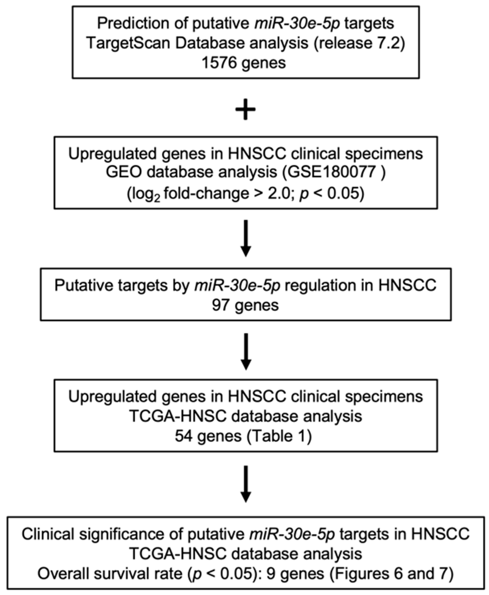 Genes 13 01225 g005 Genes 13 01225 g005