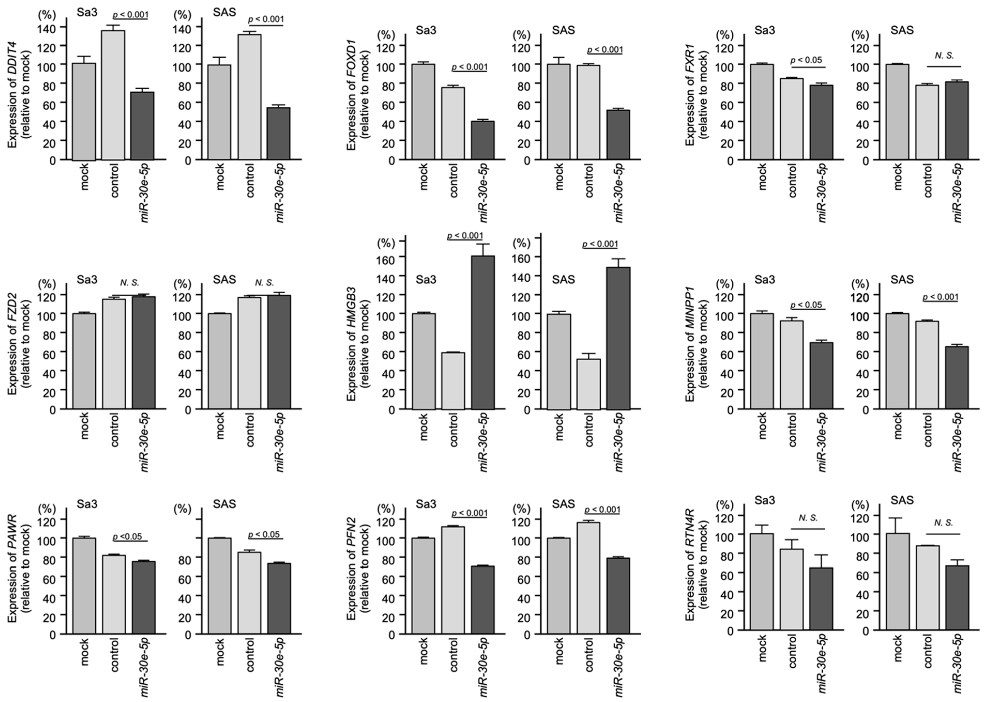 Genes 13 01225 g009 Genes 13 01225 g009