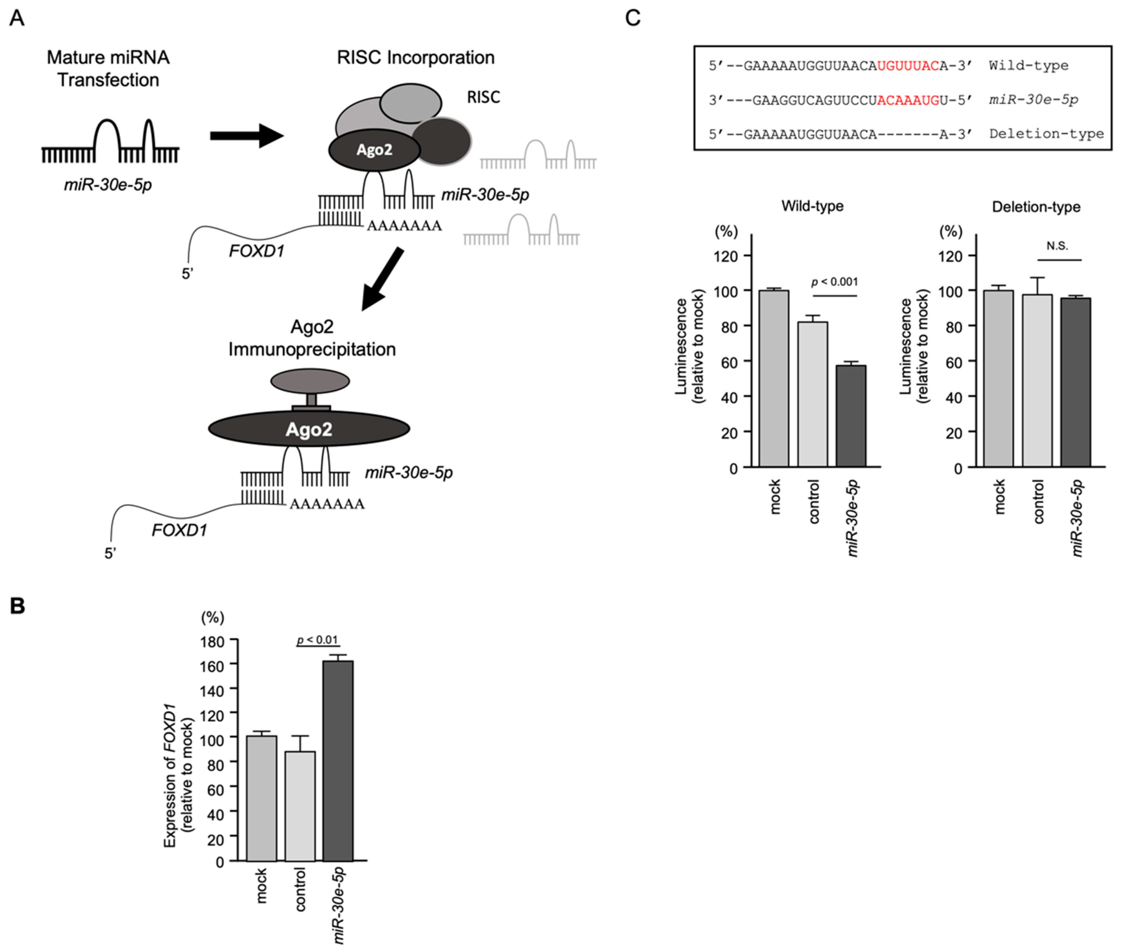 Genes 13 01225 g010 Genes 13 01225 g010