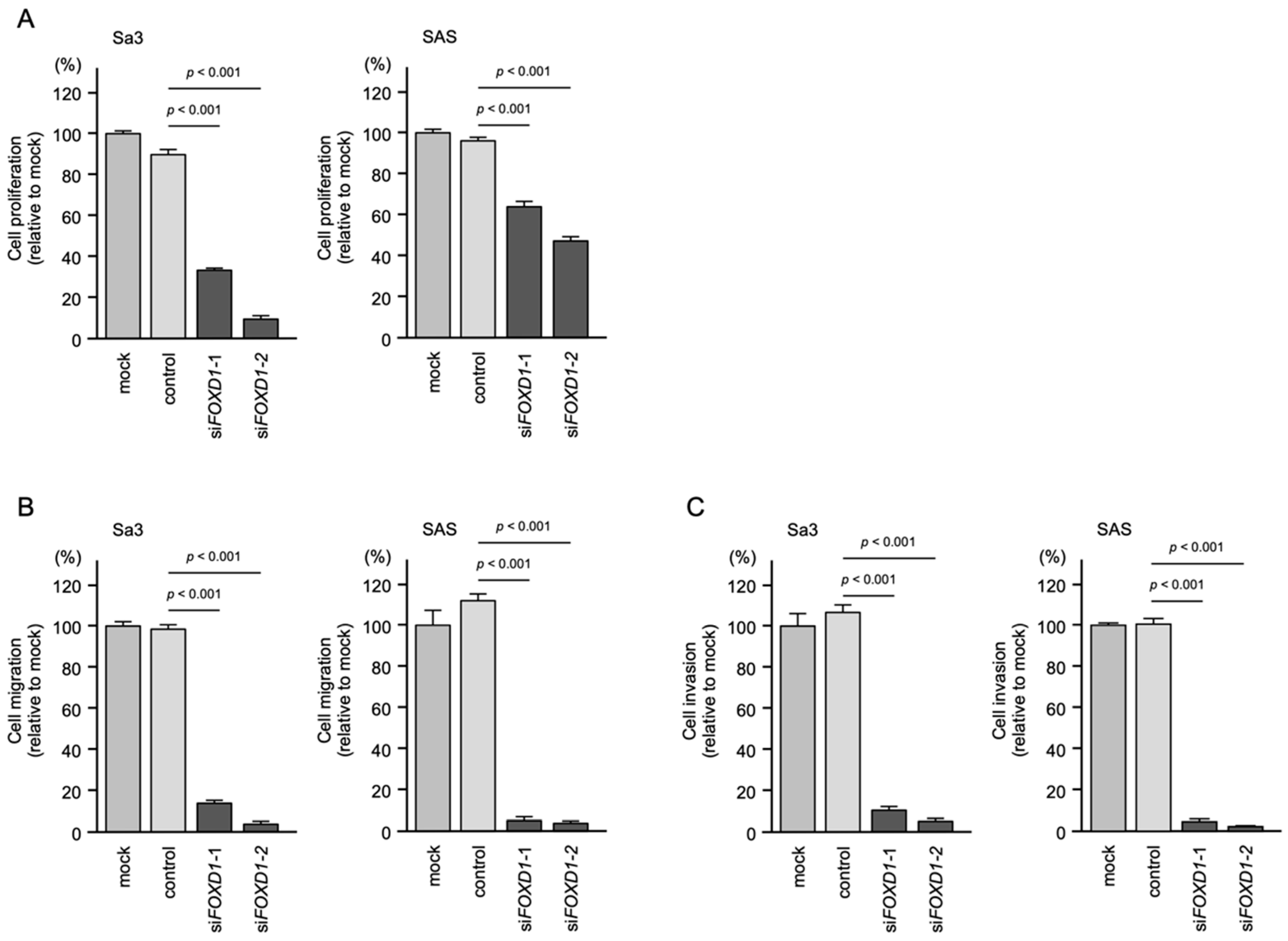 Genes 13 01225 g012 Genes 13 01225 g012