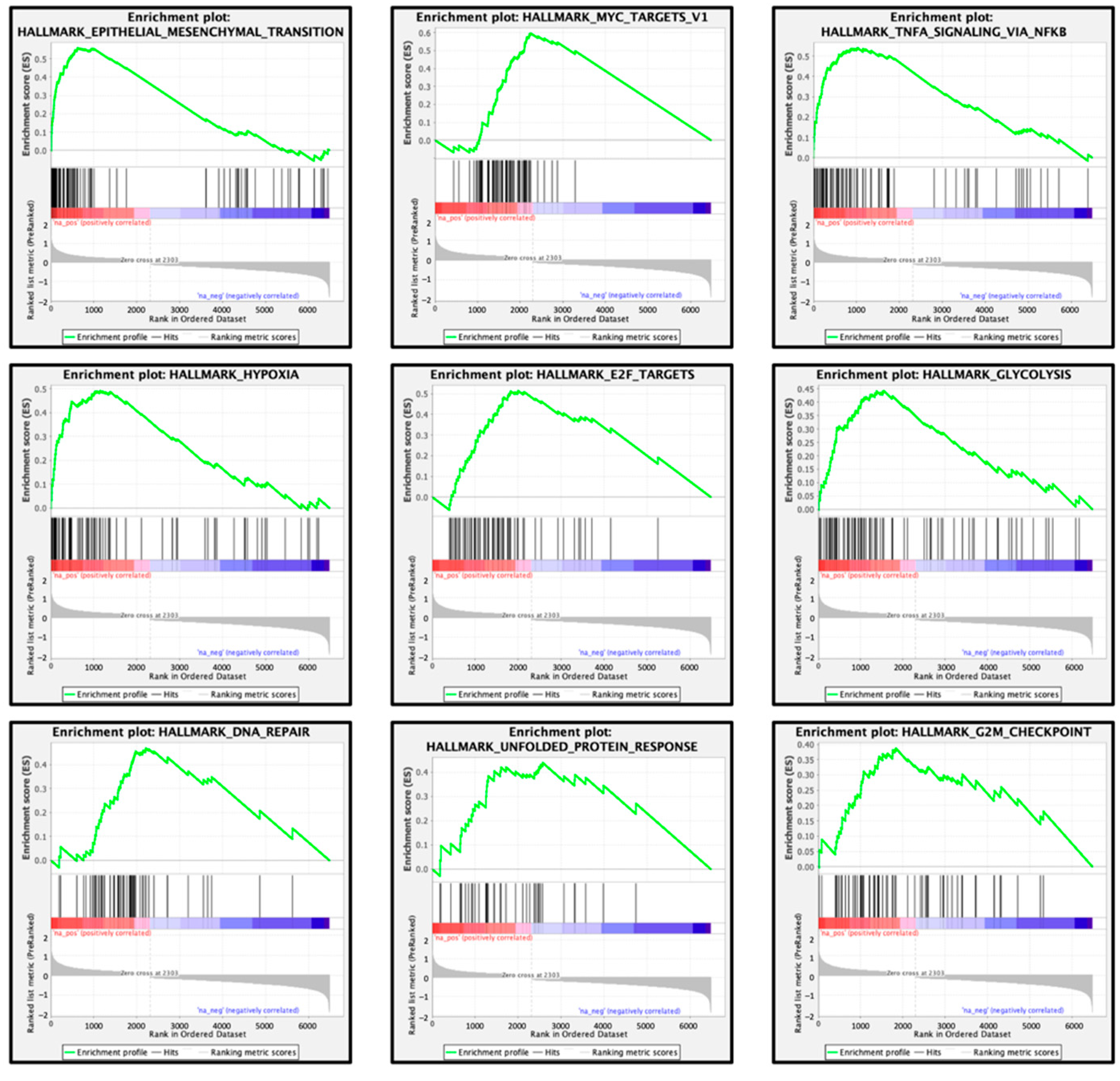 Genes 13 01225 g013 Genes 13 01225 g013
