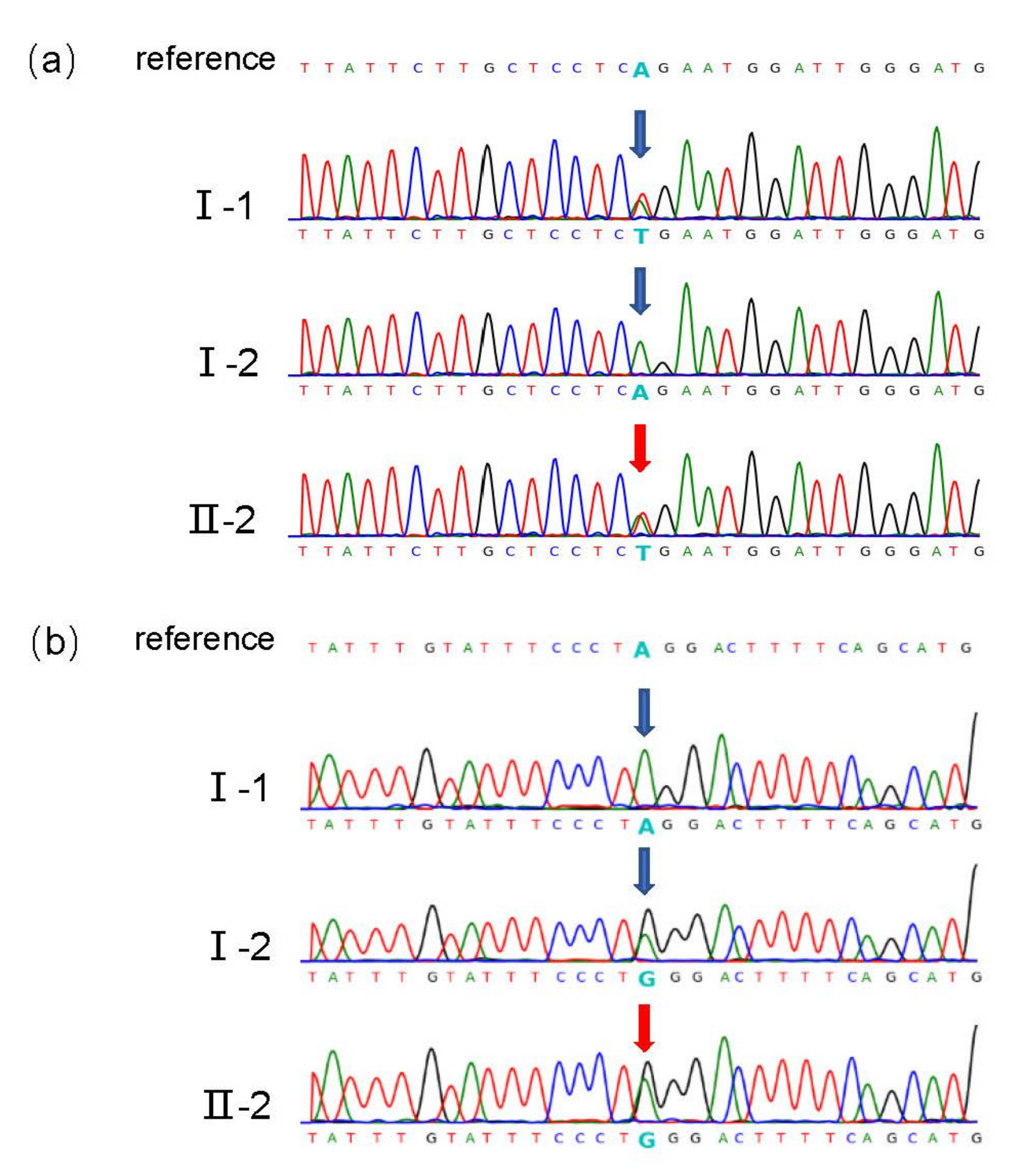 Genes 13 01230 g002 550