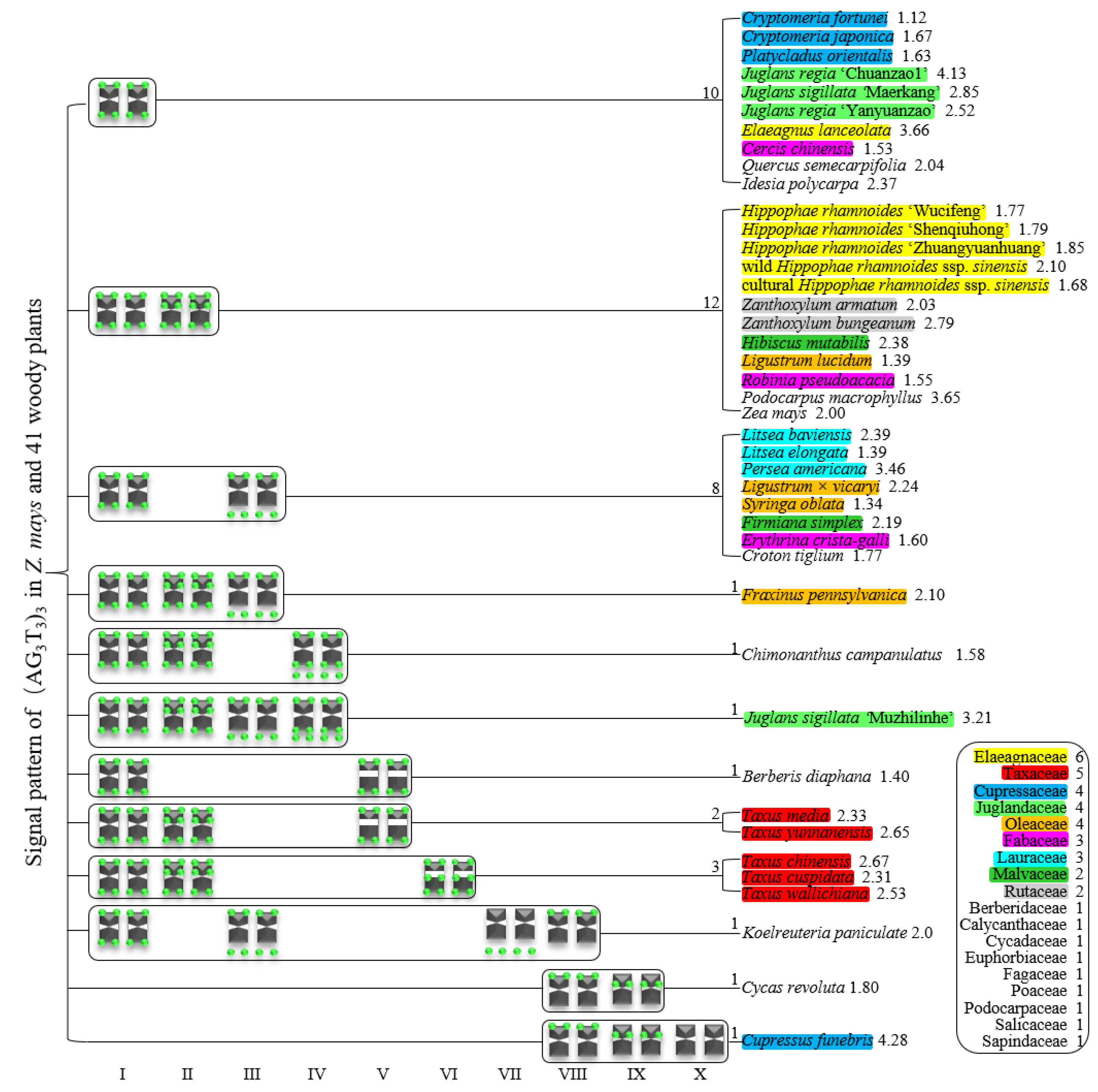 Genes 13 01239 g010 550