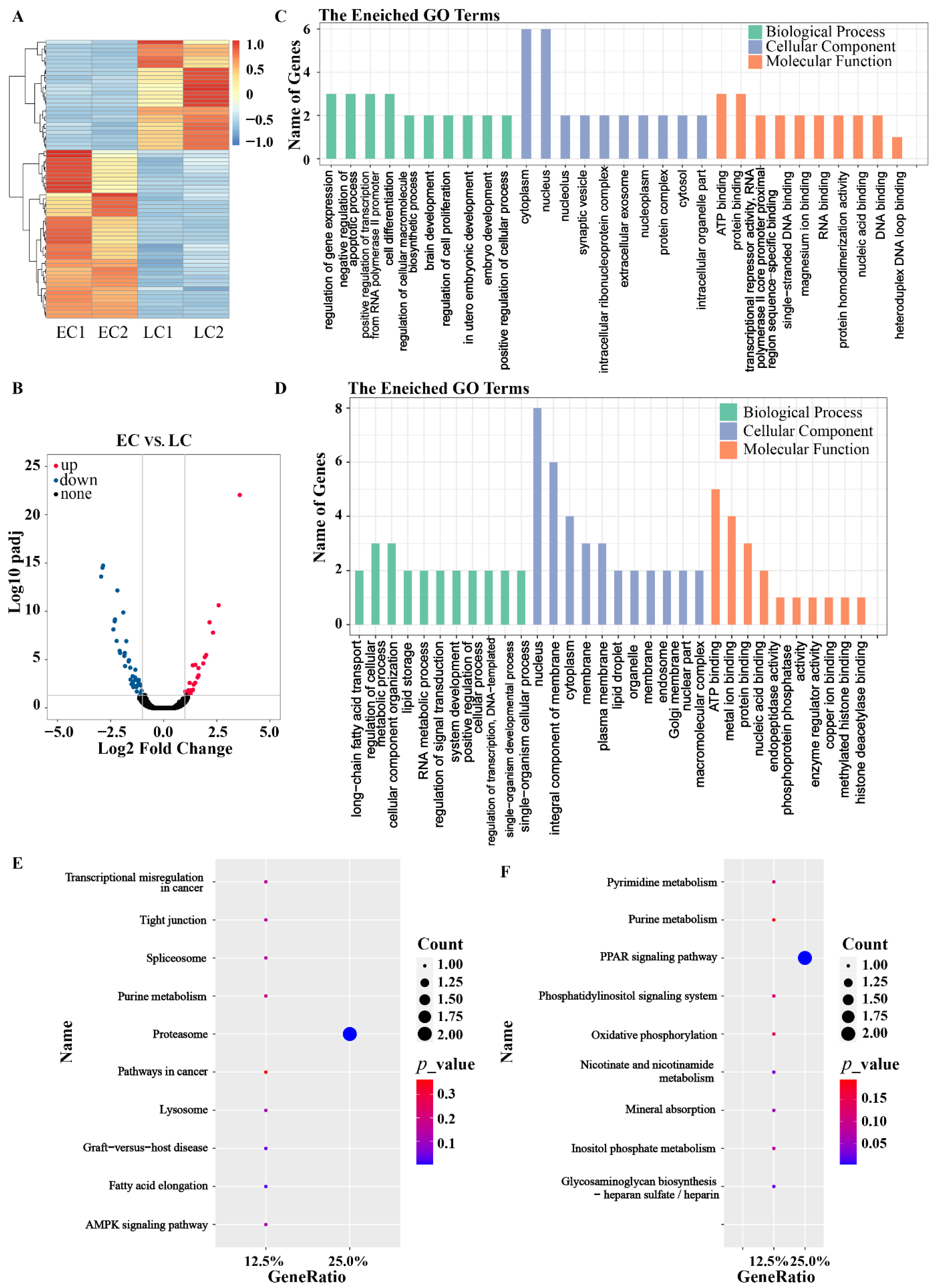 Genes 13 01251 g004 Genes 13 01251 g004