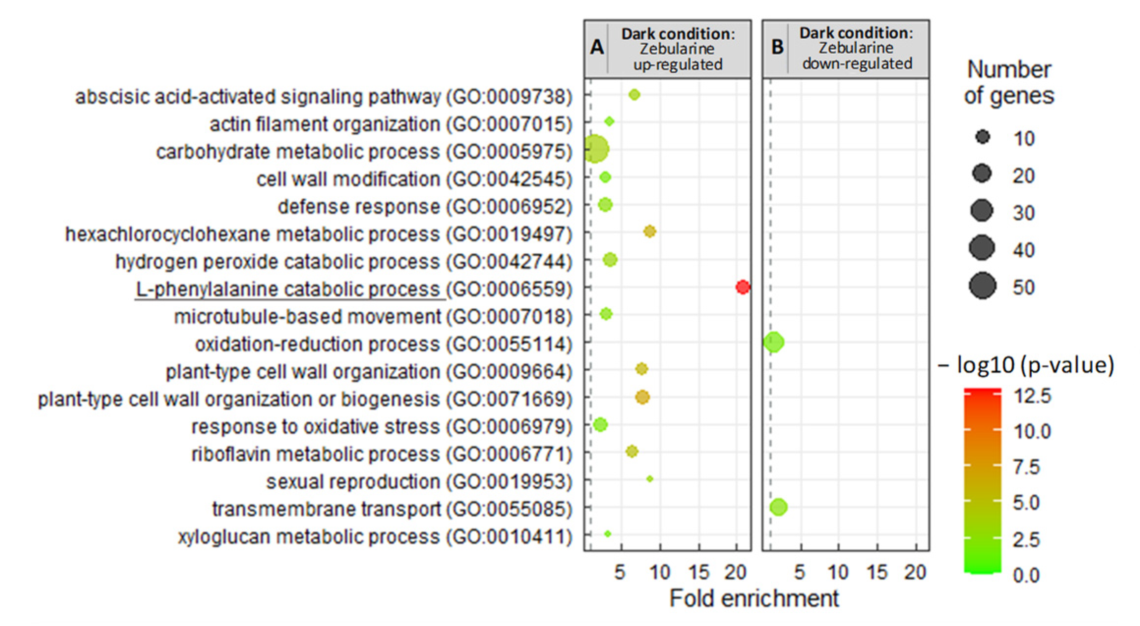 Genes 13 01256 g007