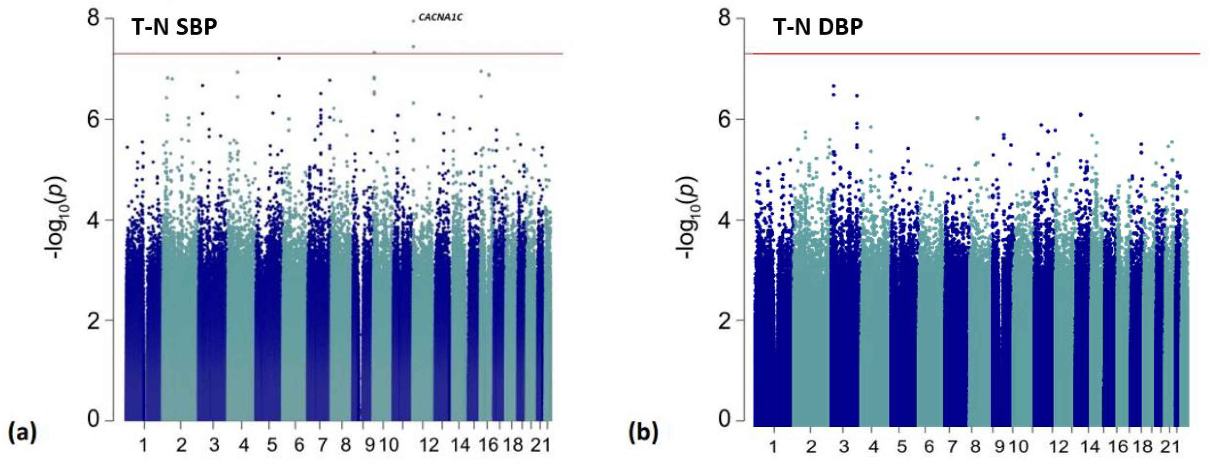 Genes 13 01260 g002 Genes 13 01260 g002