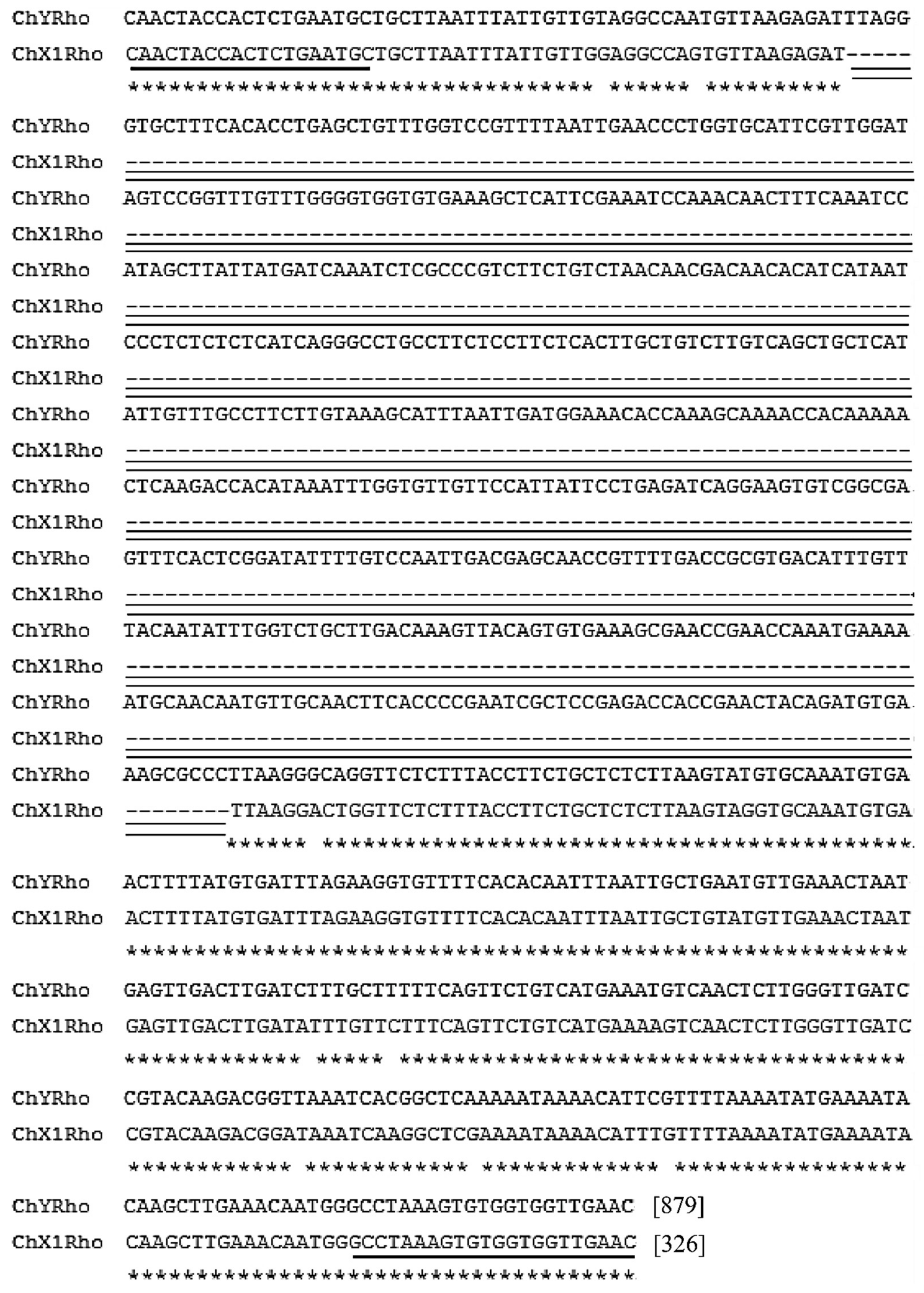 Genes 13 01262 g001 550