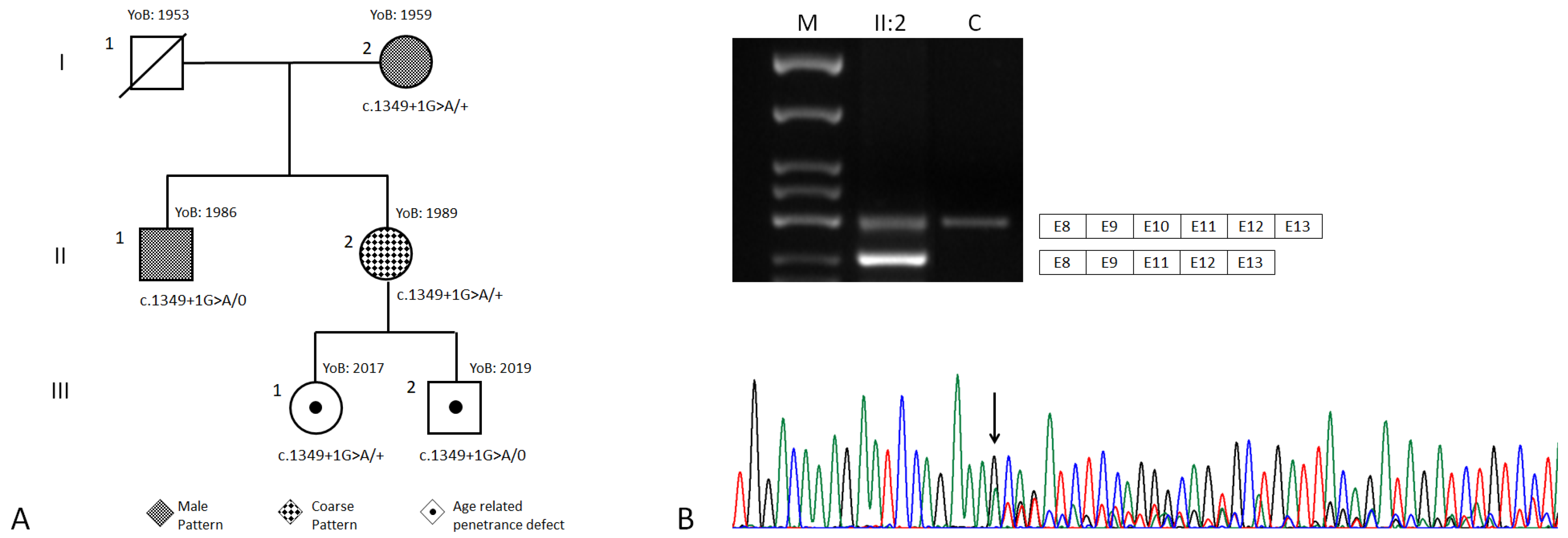 Genes 13 01268 g002 550